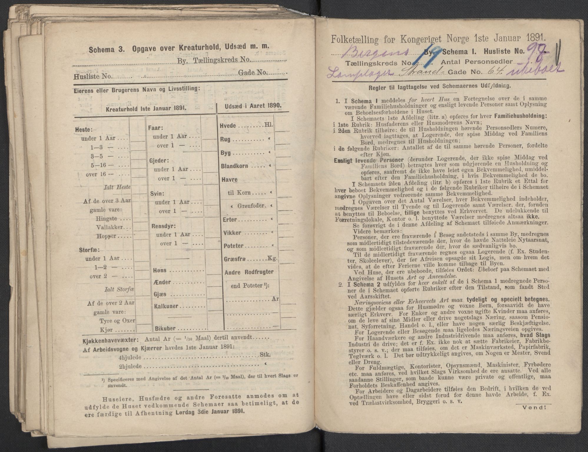 RA, 1891 Census for 1301 Bergen, 1891, p. 3142