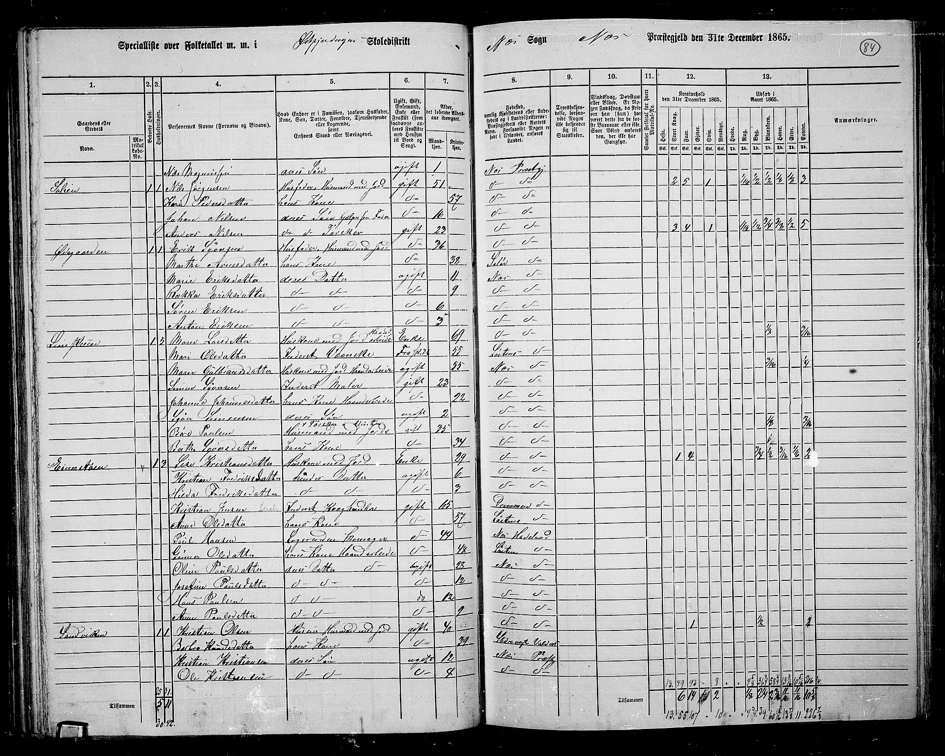 RA, 1865 census for Nes, 1865, p. 72