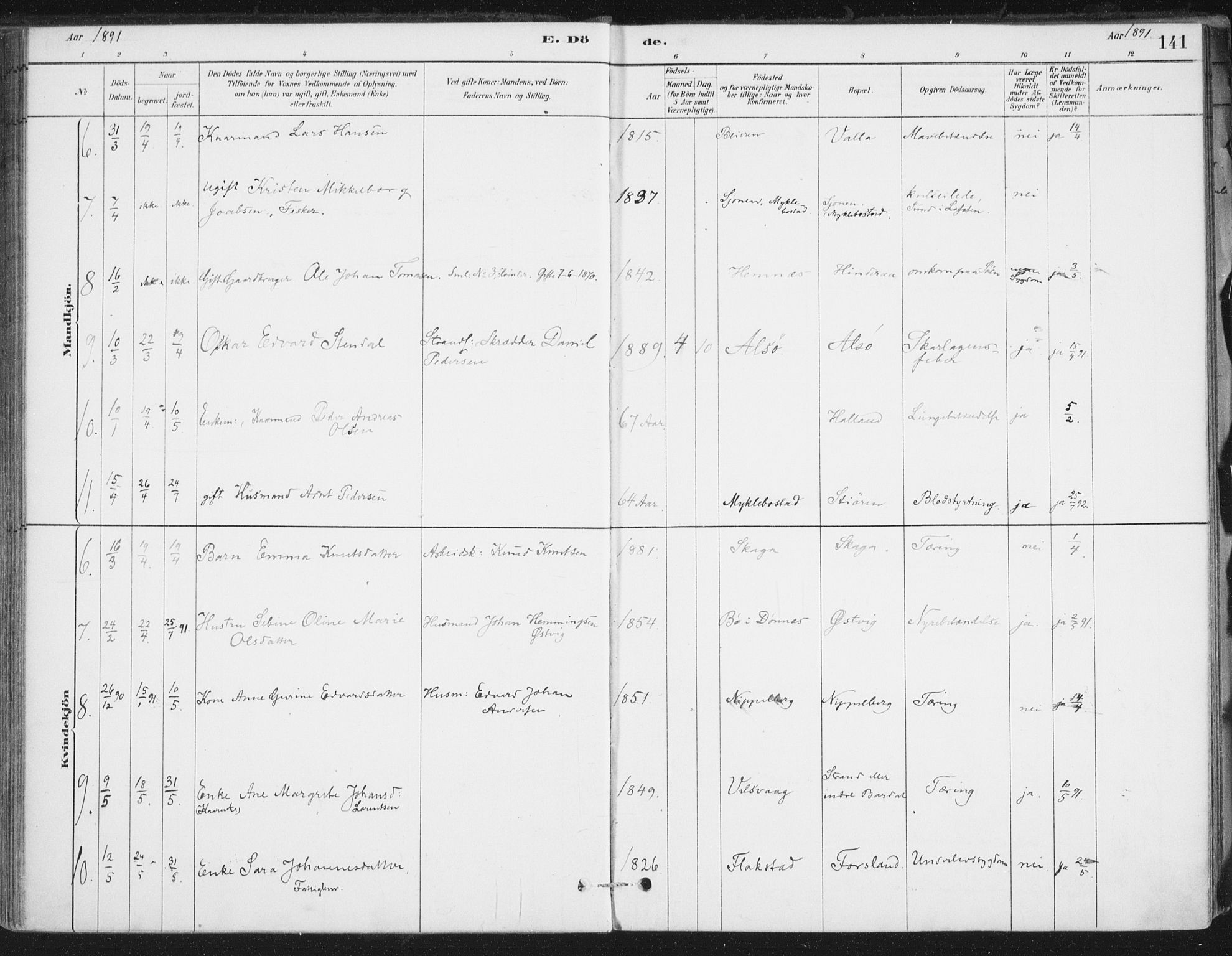 Ministerialprotokoller, klokkerbøker og fødselsregistre - Nordland, AV/SAT-A-1459/838/L0553: Parish register (official) no. 838A11, 1880-1910, p. 141