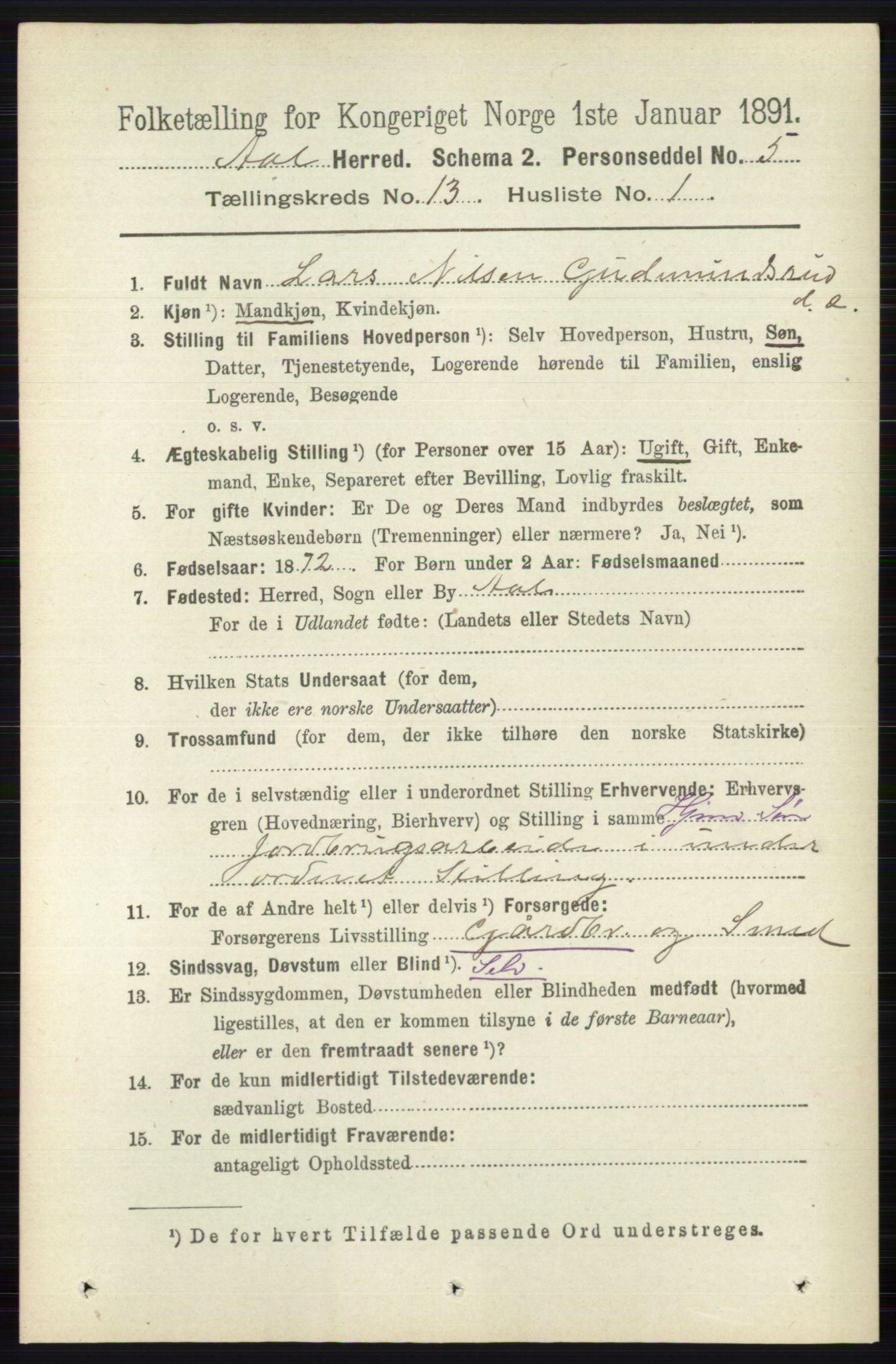 RA, 1891 census for 0619 Ål, 1891, p. 3262