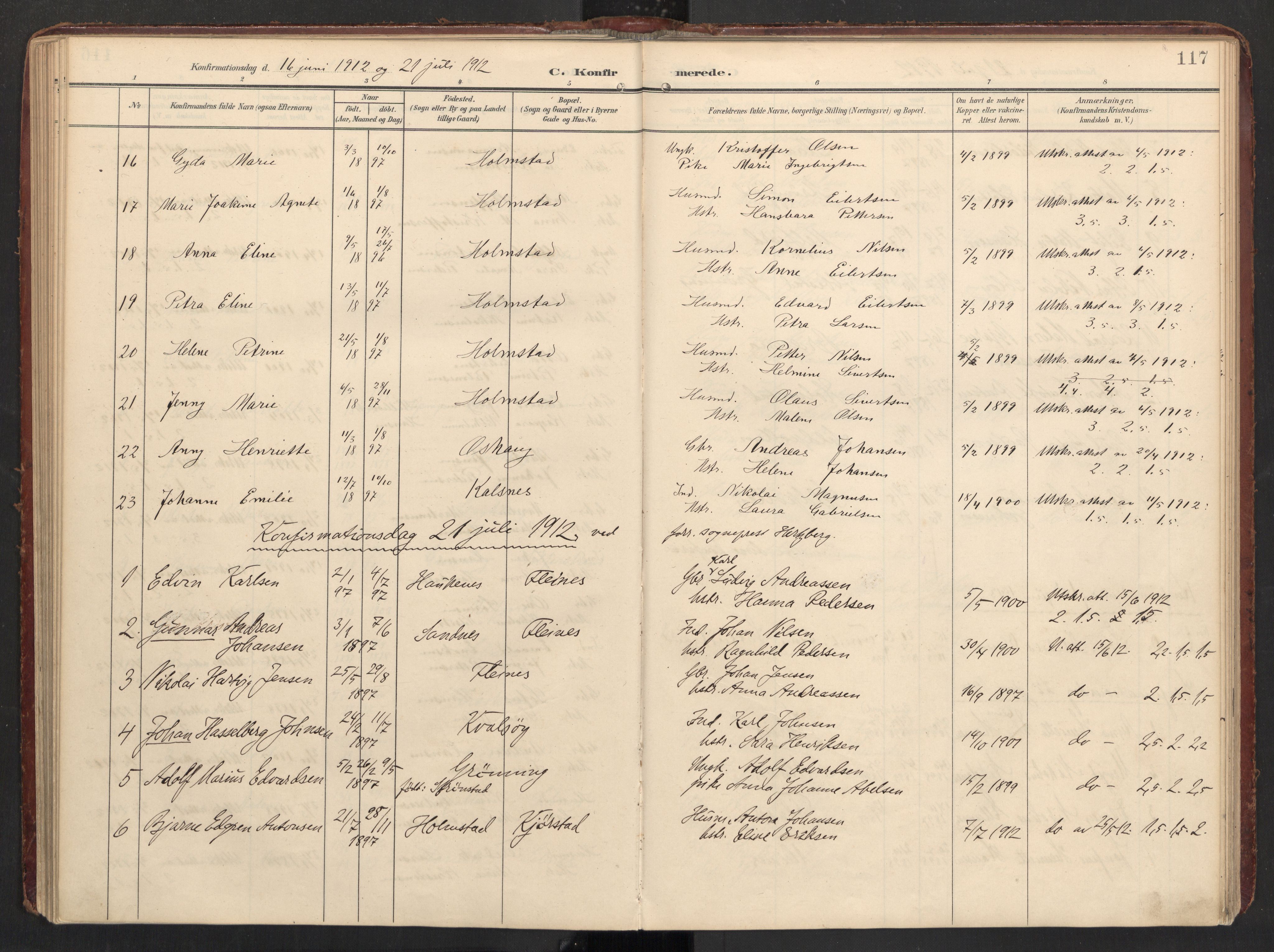 Ministerialprotokoller, klokkerbøker og fødselsregistre - Nordland, AV/SAT-A-1459/890/L1287: Parish register (official) no. 890A02, 1903-1915, p. 117