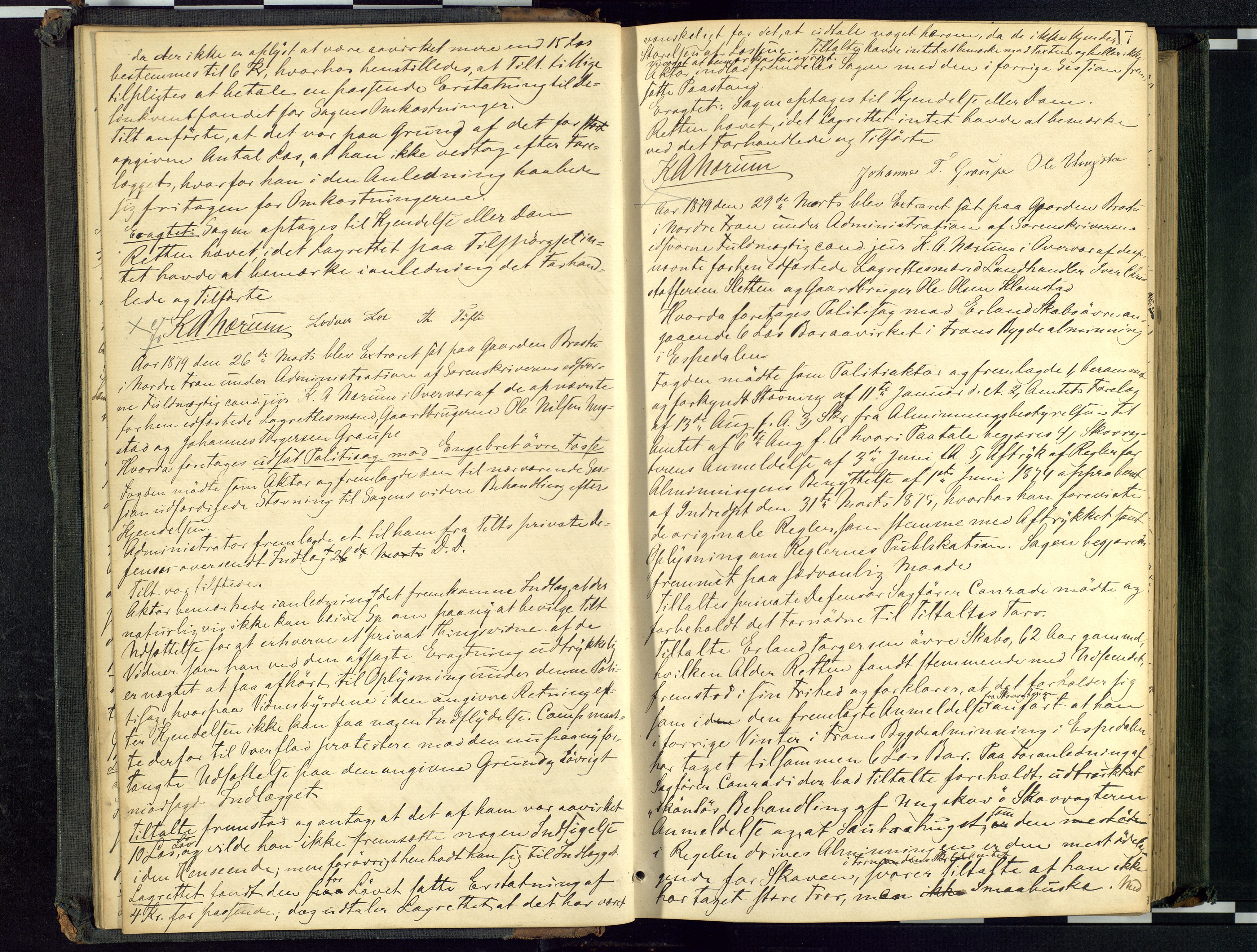 Mellom-Gudbrandsdal sorenskriveri, AV/SAH-TING-038/G/Gc/Gca/L0015: Ekstrarettsprotokoll, 1879-1884, p. 17