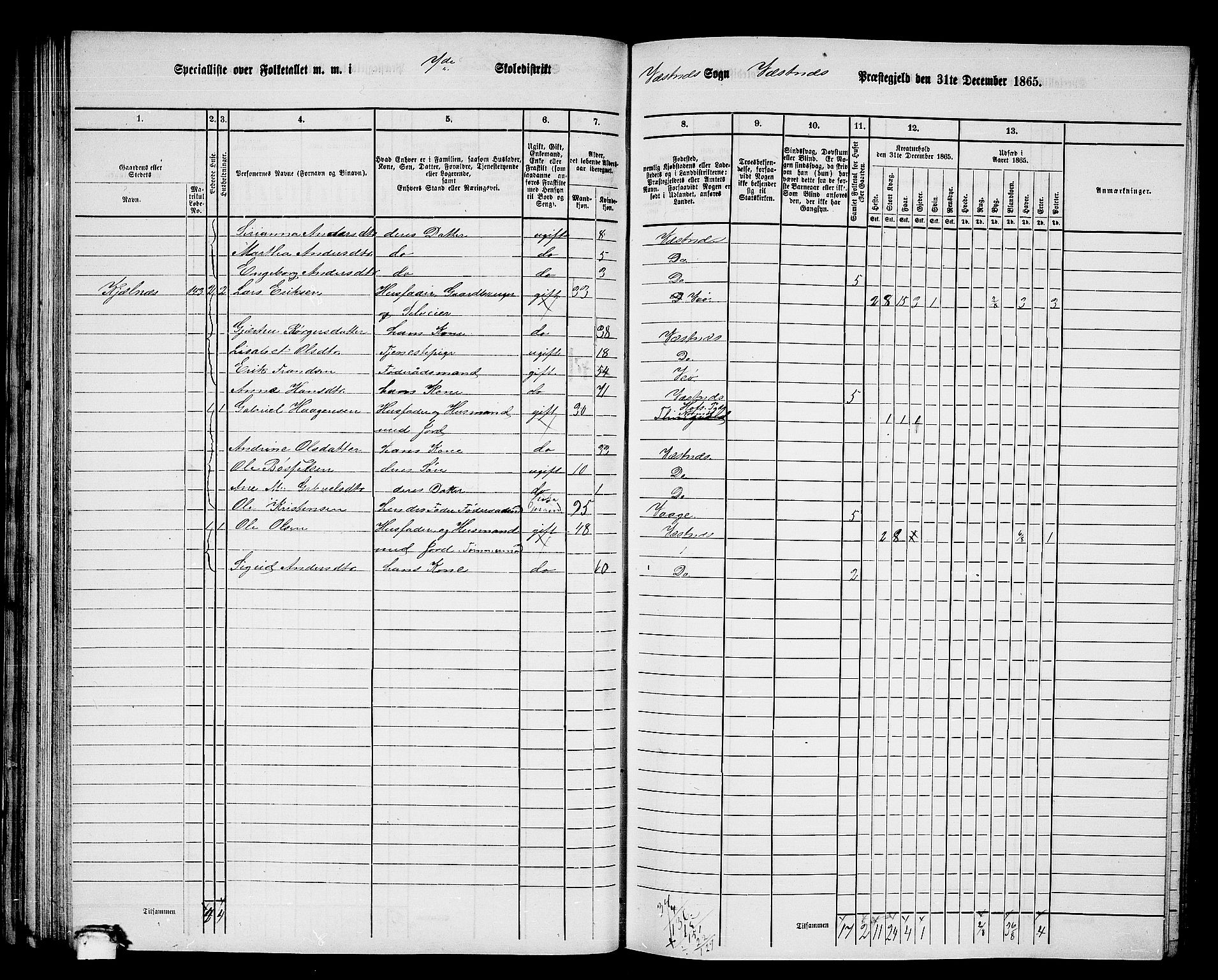 RA, 1865 census for Vestnes, 1865, p. 78