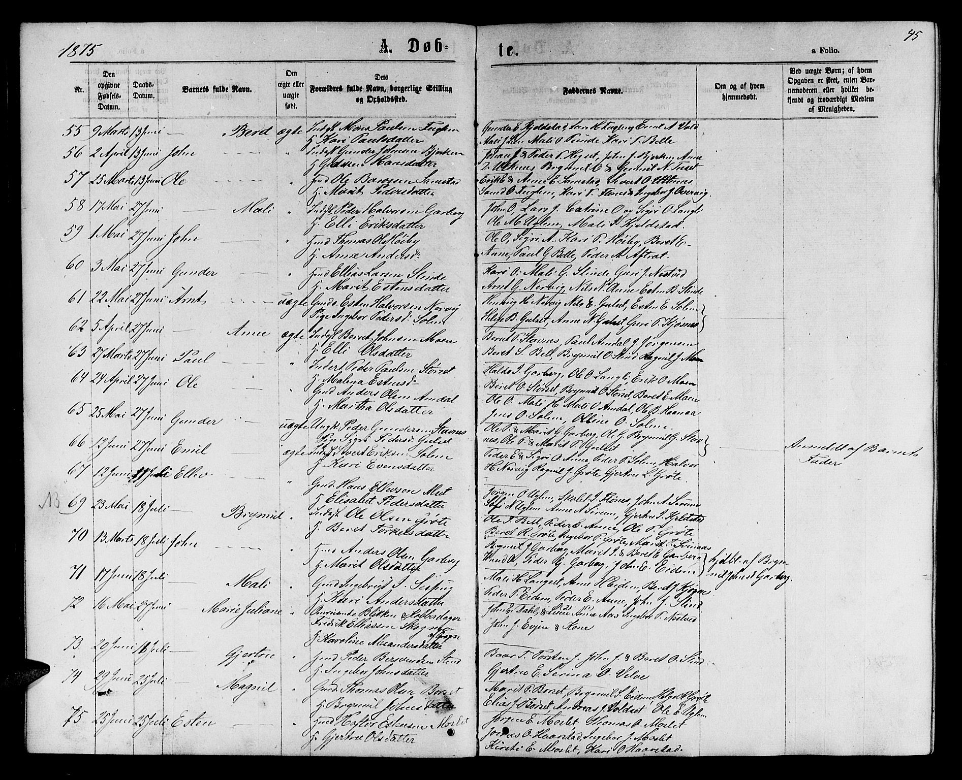 Ministerialprotokoller, klokkerbøker og fødselsregistre - Sør-Trøndelag, AV/SAT-A-1456/695/L1156: Parish register (copy) no. 695C07, 1869-1888, p. 45