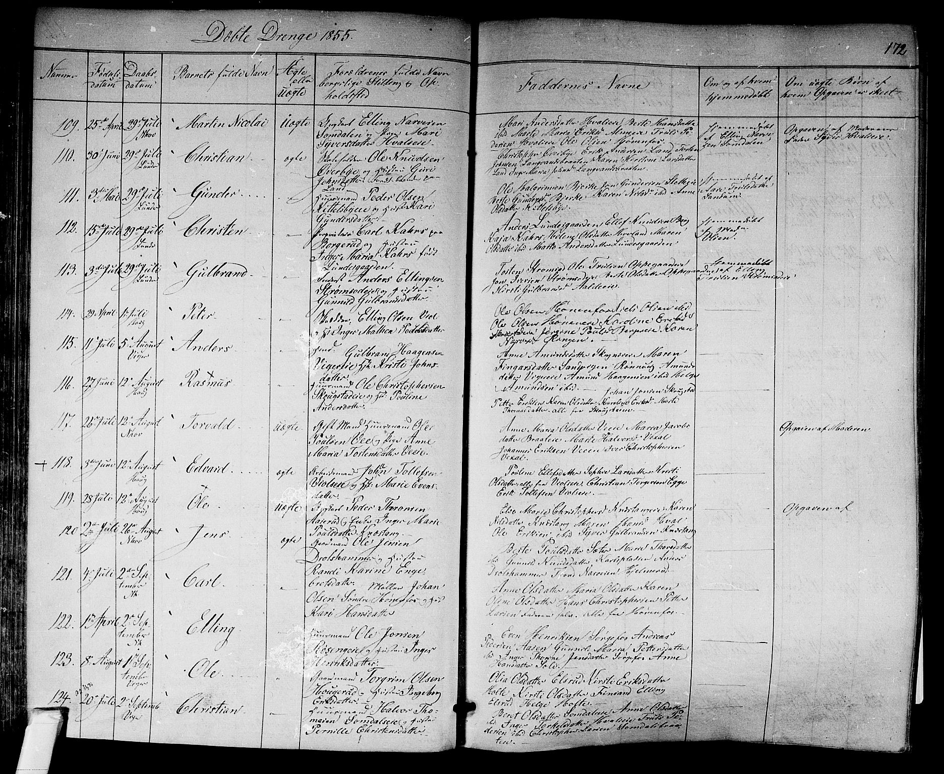 Norderhov kirkebøker, SAKO/A-237/F/Fa/L0011: Parish register (official) no. 11, 1847-1856, p. 172