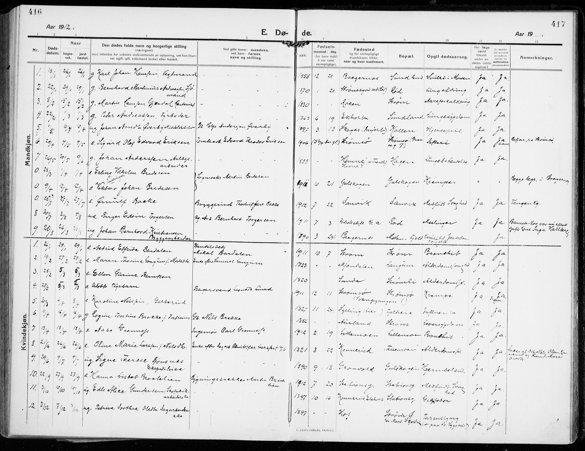 Strømsgodset kirkebøker, SAKO/A-324/F/Fa/L0002: Parish register (official) no. 2, 1910-1920, p. 416-417