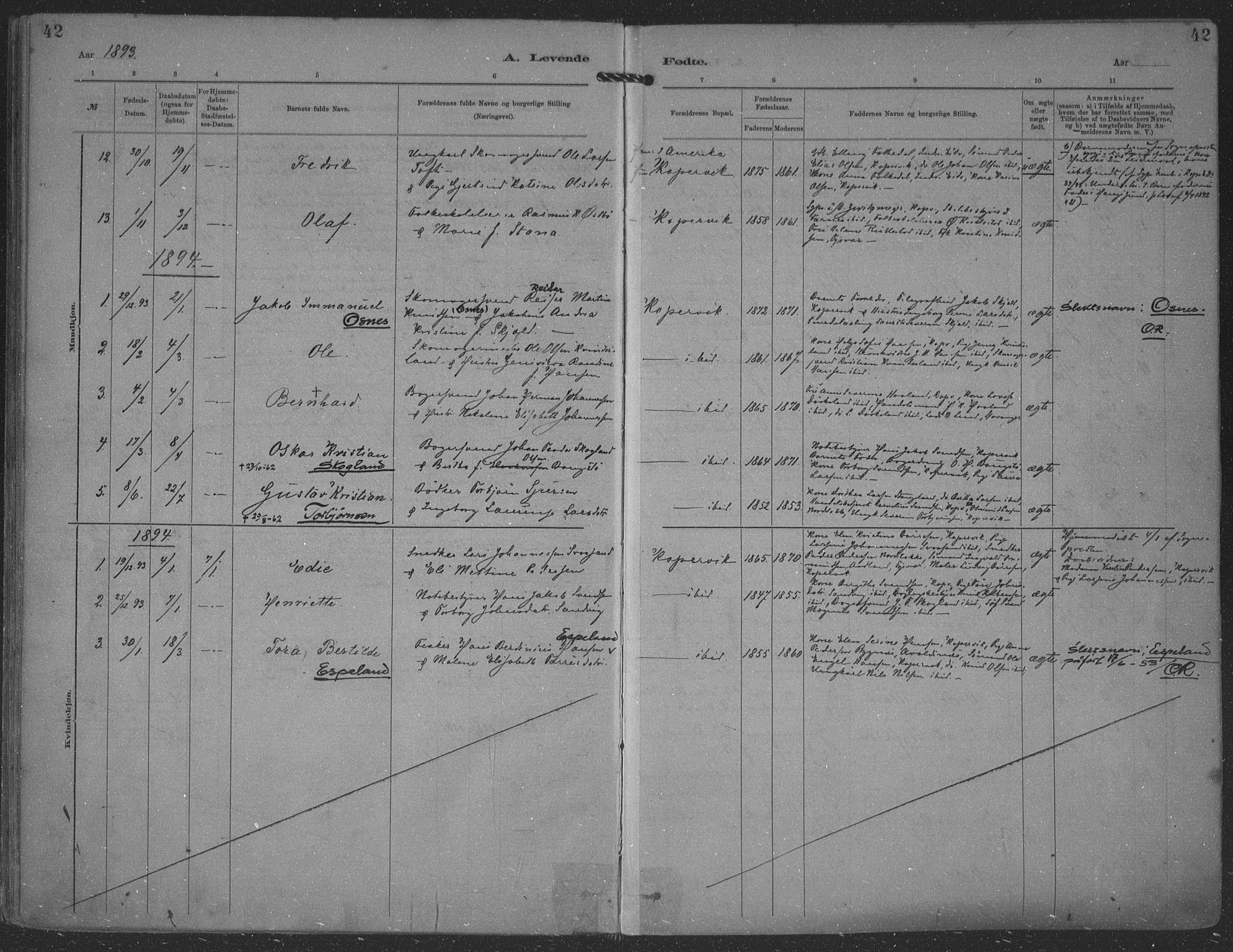 Kopervik sokneprestkontor, AV/SAST-A-101850/H/Ha/Haa/L0001: Parish register (official) no. A 1, 1880-1919, p. 42