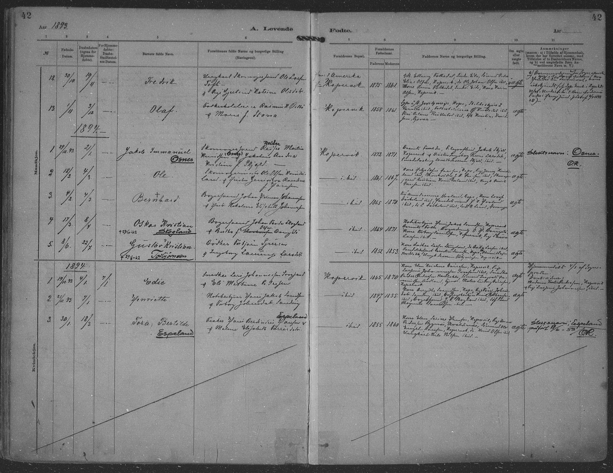 Kopervik sokneprestkontor, AV/SAST-A-101850/H/Ha/Haa/L0001: Parish register (official) no. A 1, 1880-1919, p. 42