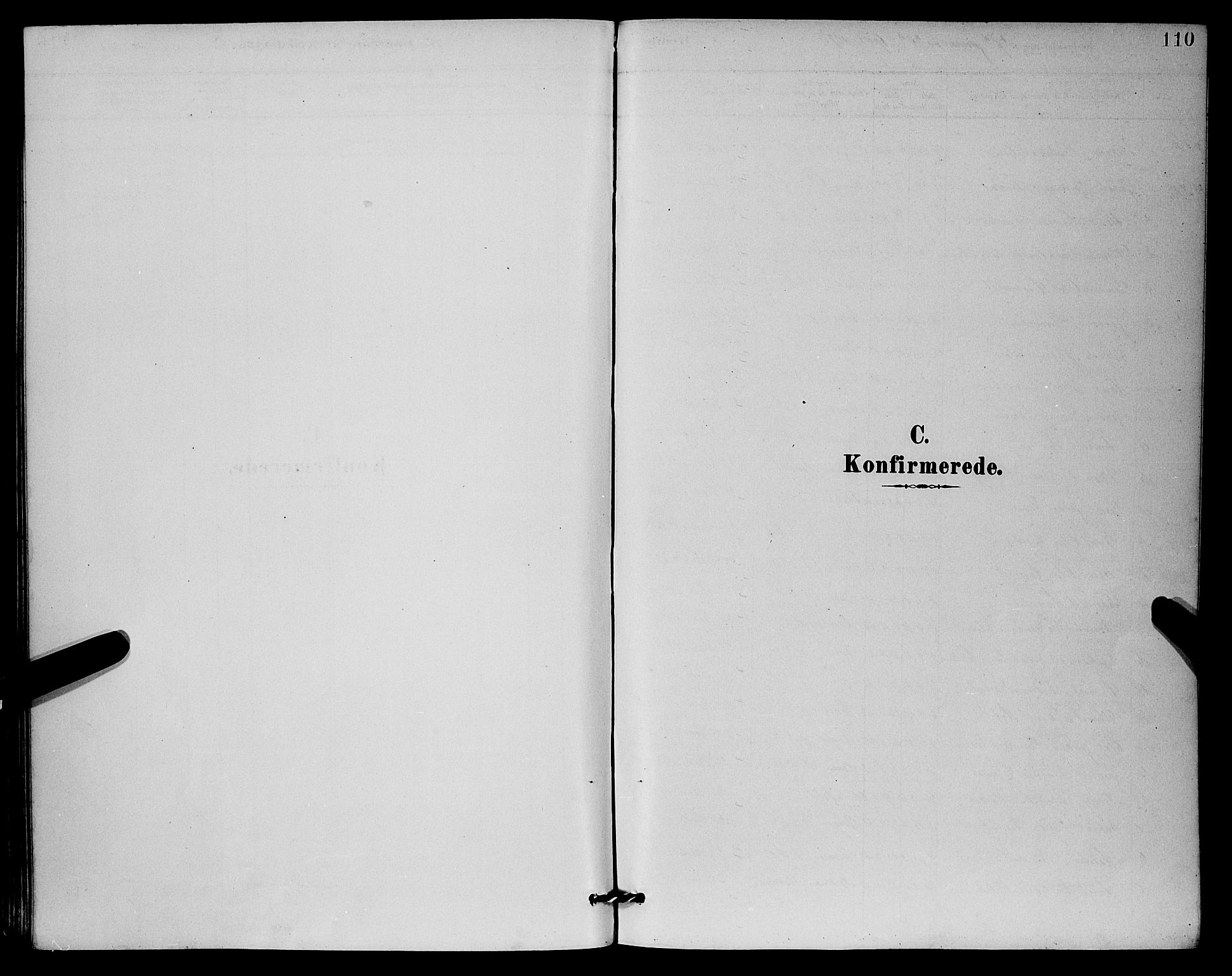 Mariakirken Sokneprestembete, SAB/A-76901/H/Hab/L0004: Parish register (copy) no. A 4, 1878-1892, p. 110