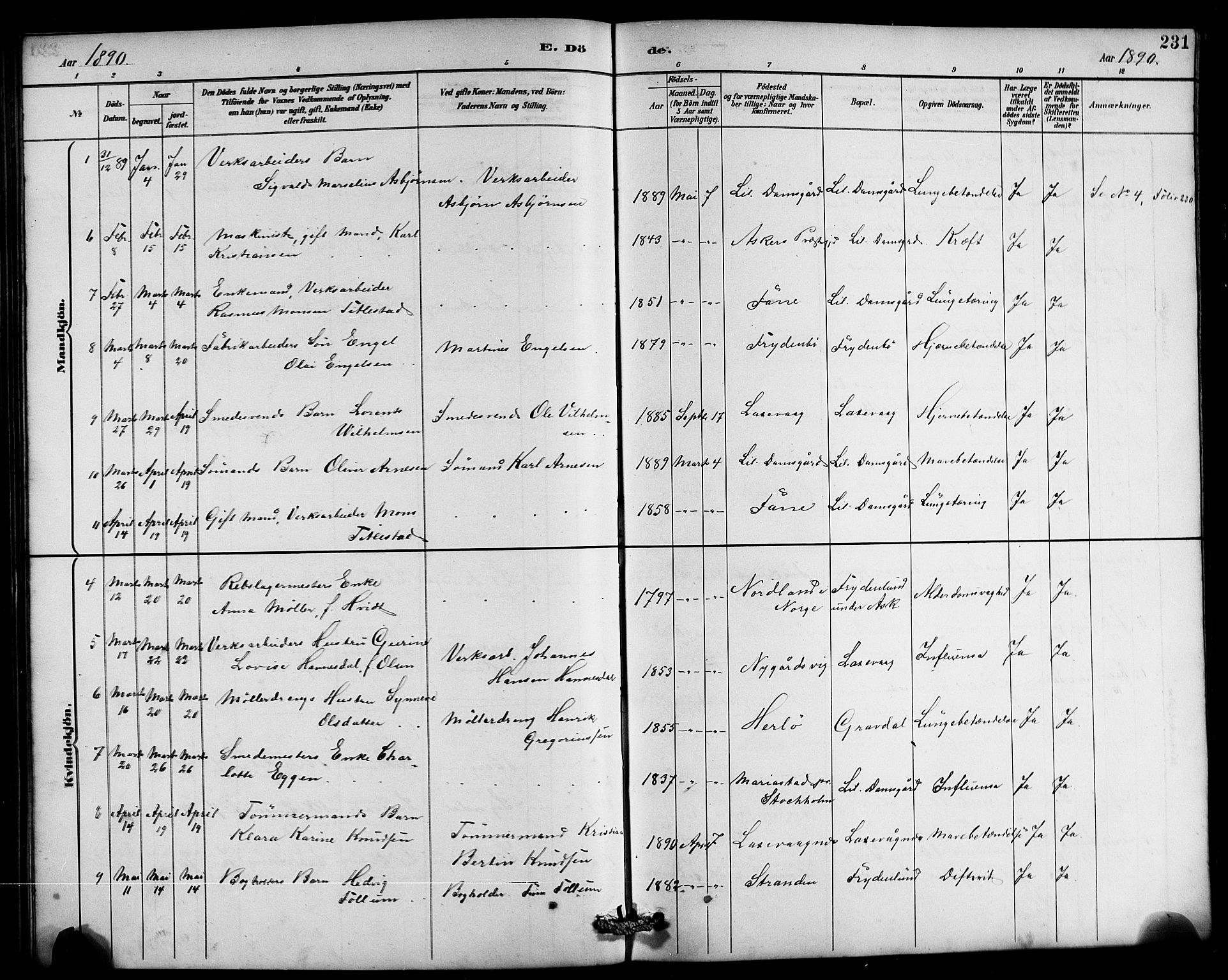 Laksevåg Sokneprestembete, AV/SAB-A-76501/H/Ha/Hab/Haba/L0003: Parish register (copy) no. A 3, 1887-1899, p. 231