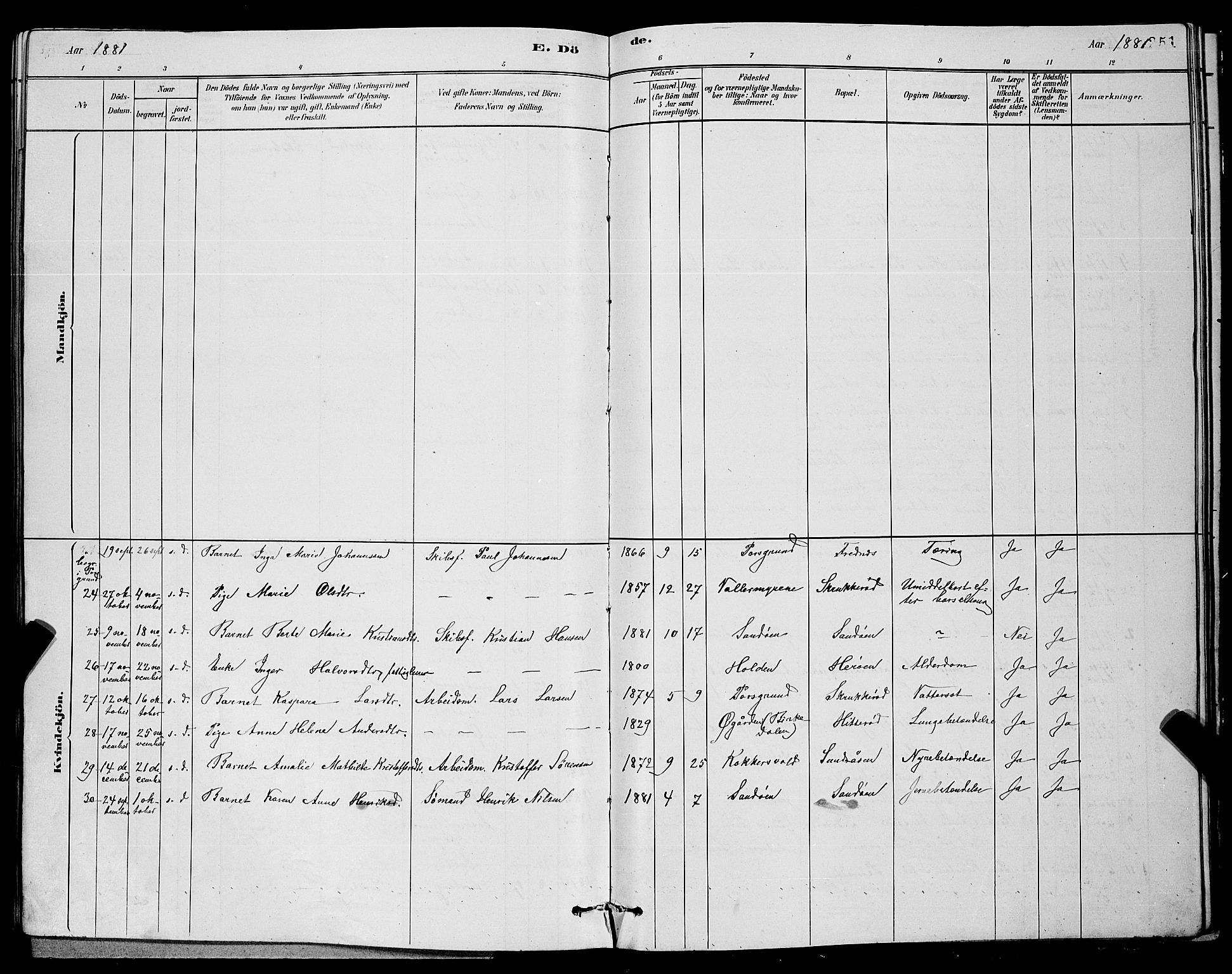 Eidanger kirkebøker, SAKO/A-261/G/Ga/L0002: Parish register (copy) no. 2, 1879-1892, p. 251