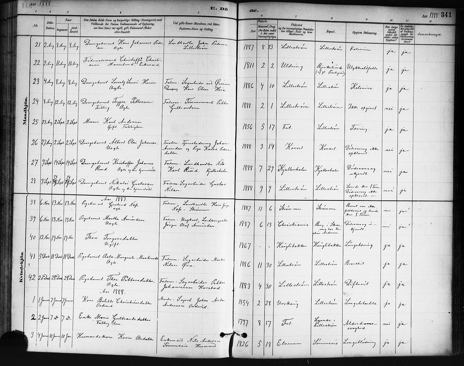 Skedsmo prestekontor Kirkebøker, AV/SAO-A-10033a/G/Ga/L0004: Parish register (copy) no. I 4, 1883-1895, p. 341