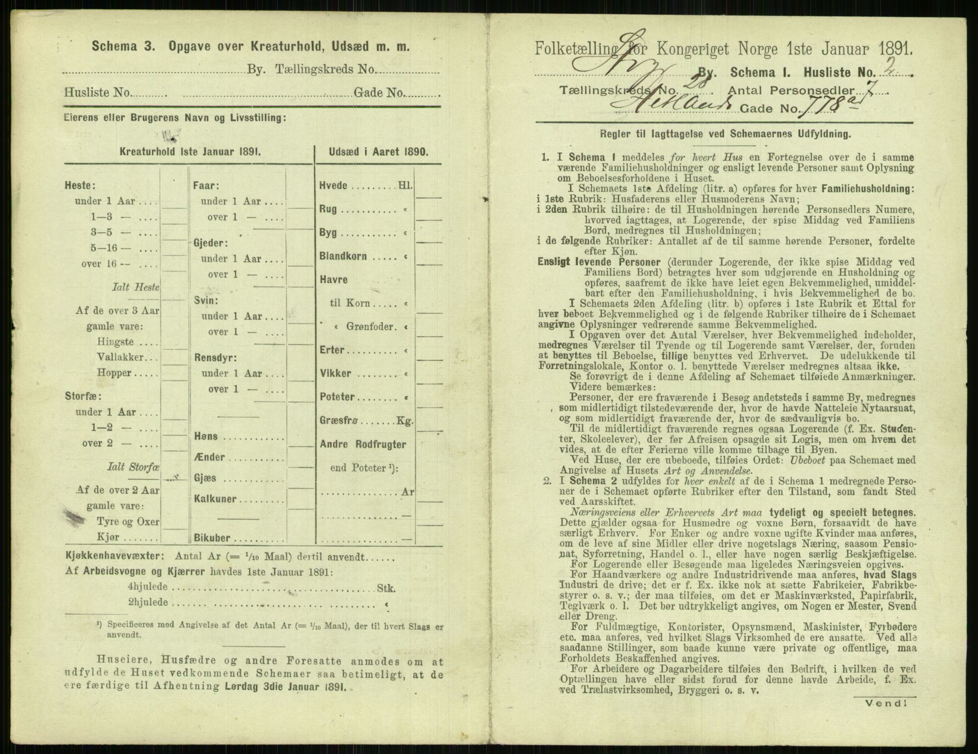 RA, 1891 census for 1103 Stavanger, 1891, p. 4981