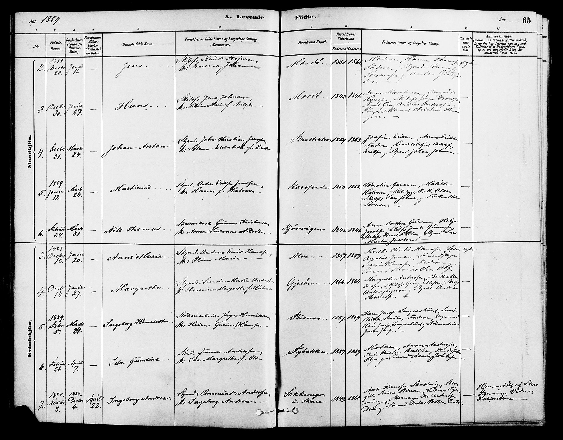 Tromøy sokneprestkontor, AV/SAK-1111-0041/F/Fa/L0009: Parish register (official) no. A 9, 1878-1896, p. 65