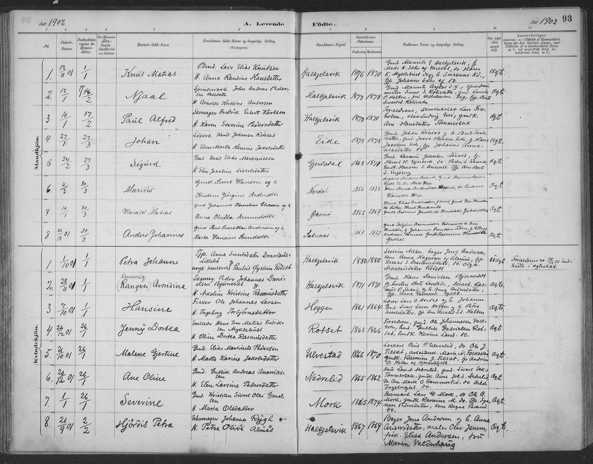 Ministerialprotokoller, klokkerbøker og fødselsregistre - Møre og Romsdal, AV/SAT-A-1454/511/L0142: Parish register (official) no. 511A09, 1891-1905, p. 93