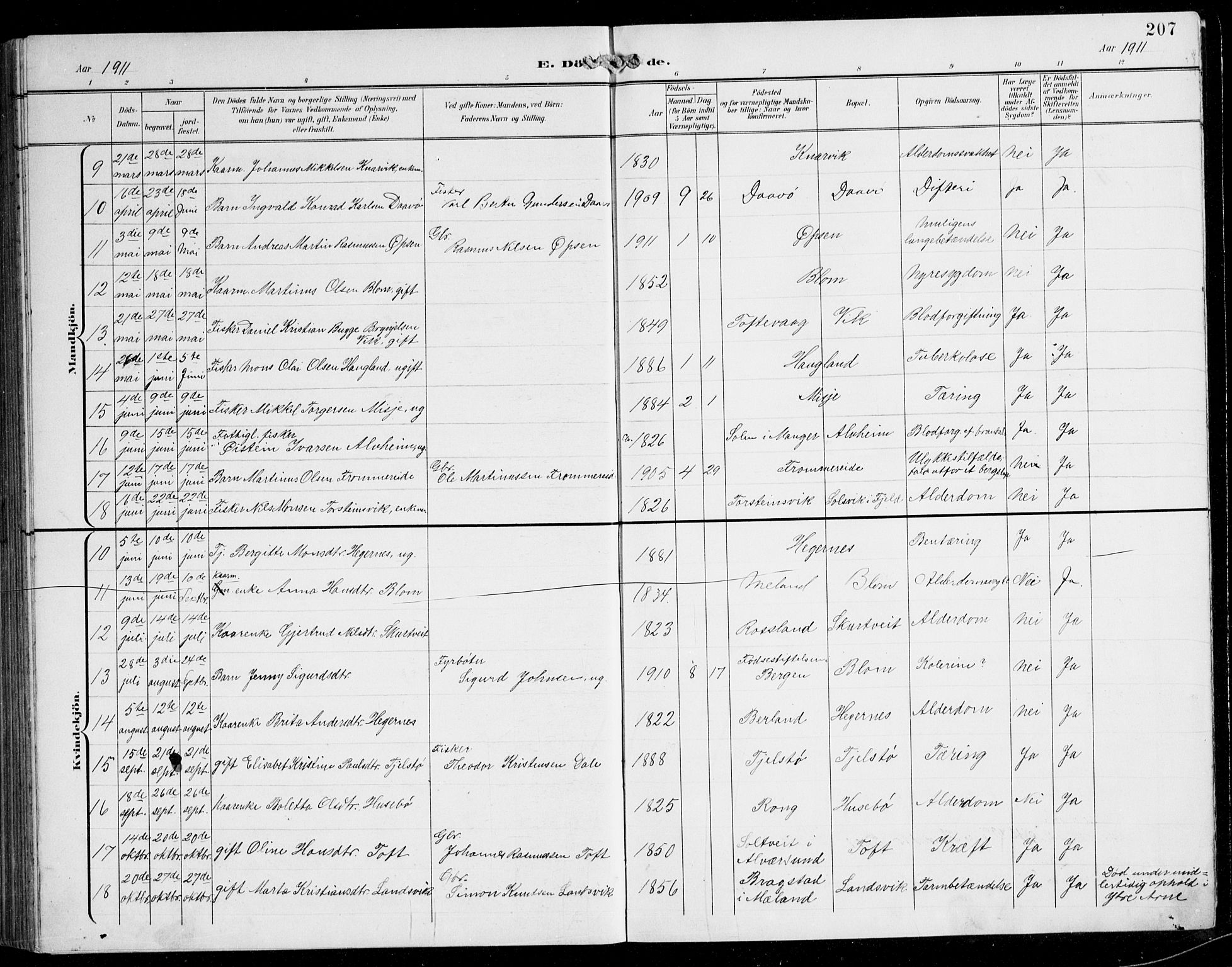 Herdla Sokneprestembete, AV/SAB-A-75701/H/Hab: Parish register (copy) no. C 1, 1900-1913, p. 207