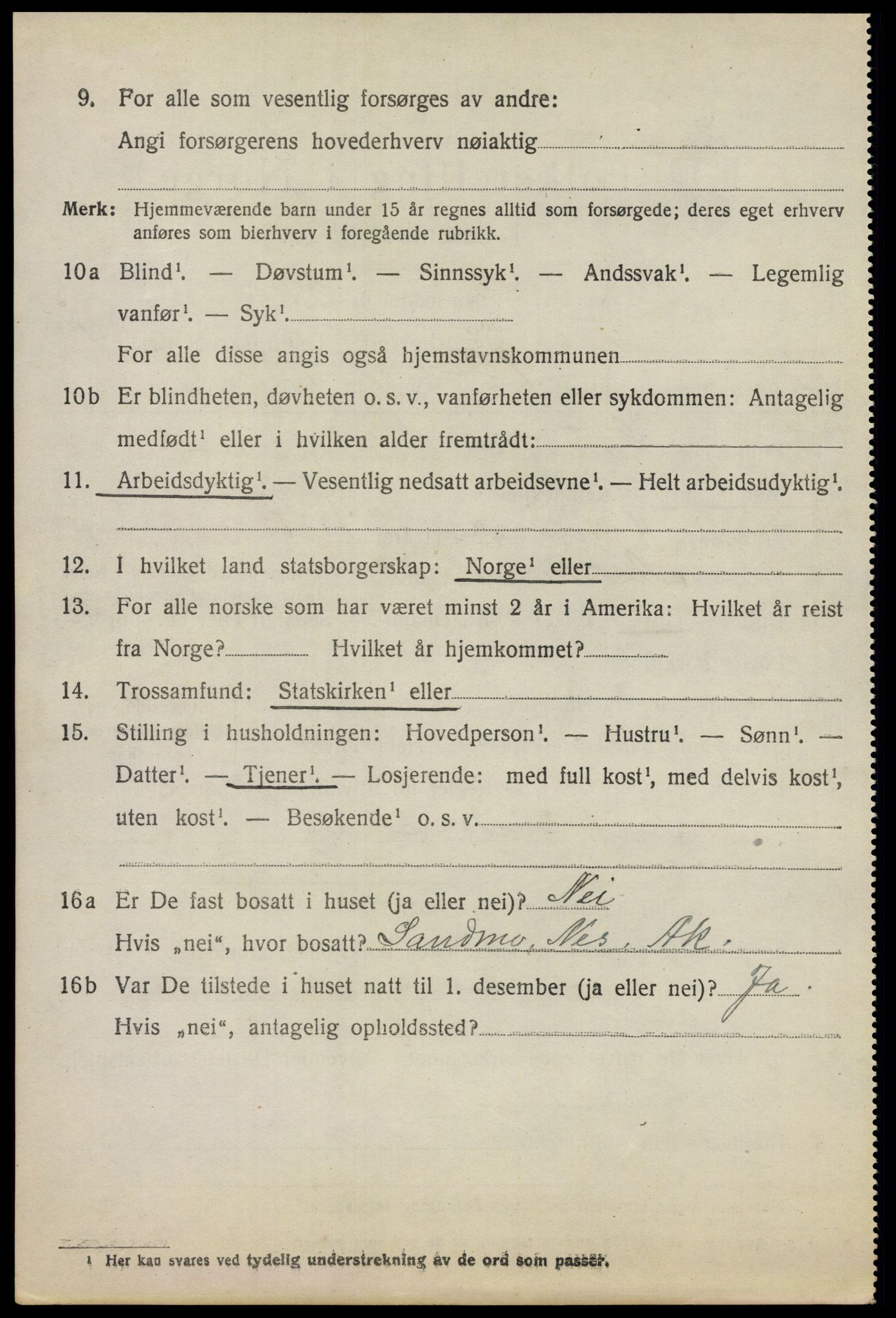 SAO, 1920 census for Nes, 1920, p. 6455