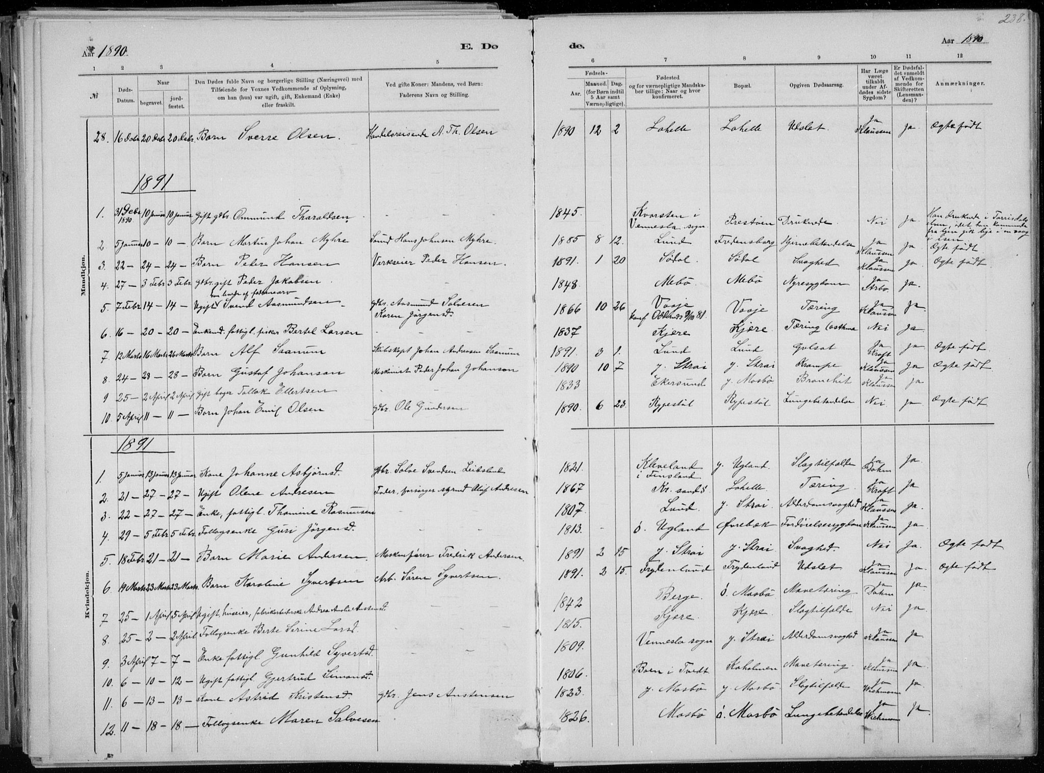 Oddernes sokneprestkontor, SAK/1111-0033/F/Fa/Faa/L0009: Parish register (official) no. A 9, 1884-1896, p. 238