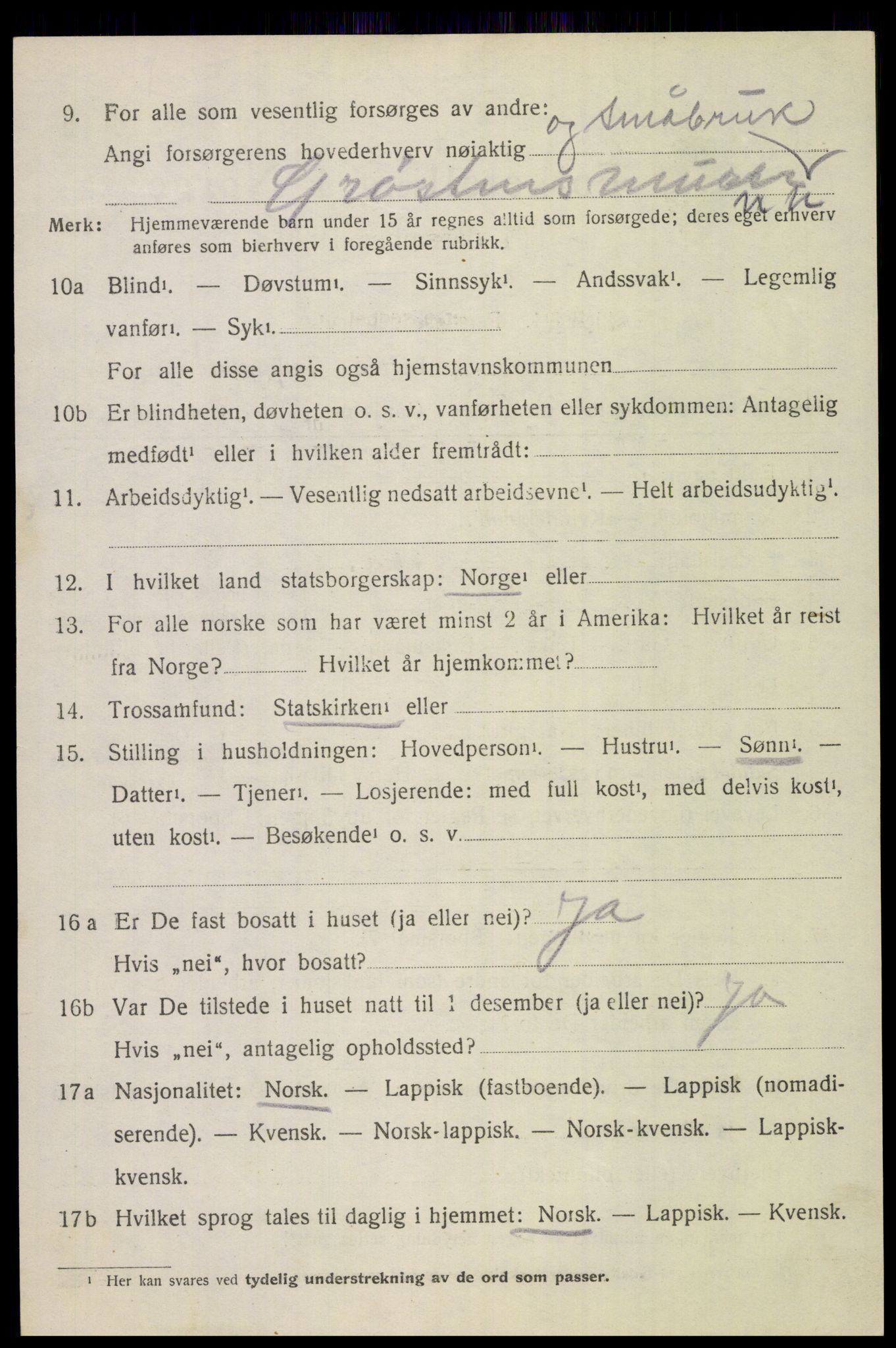 SAT, 1920 census for Bodin, 1920, p. 12279