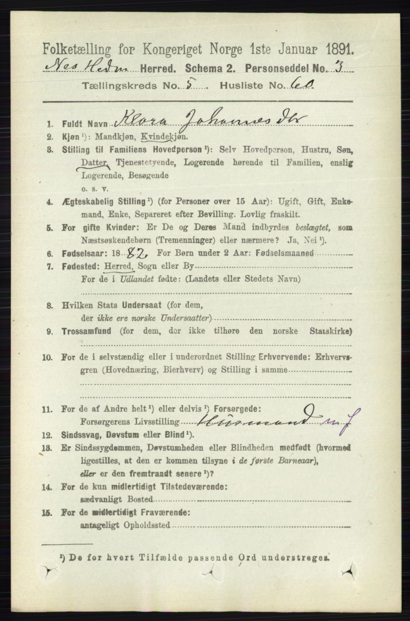 RA, 1891 census for 0411 Nes, 1891, p. 2992