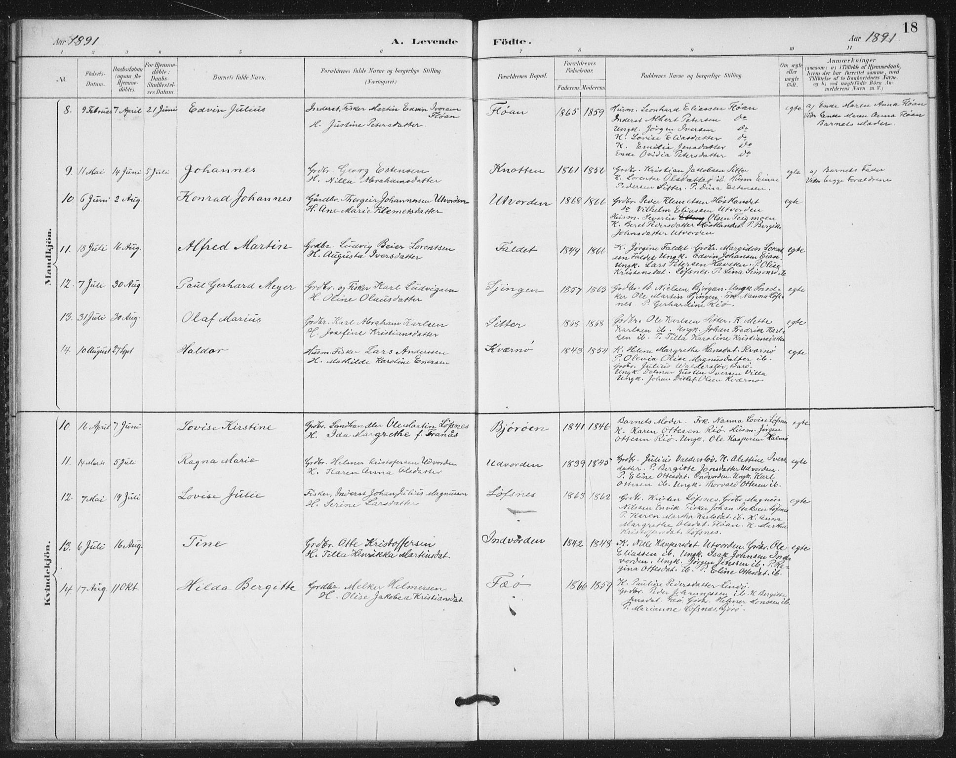 Ministerialprotokoller, klokkerbøker og fødselsregistre - Nord-Trøndelag, SAT/A-1458/772/L0603: Parish register (official) no. 772A01, 1885-1912, p. 18
