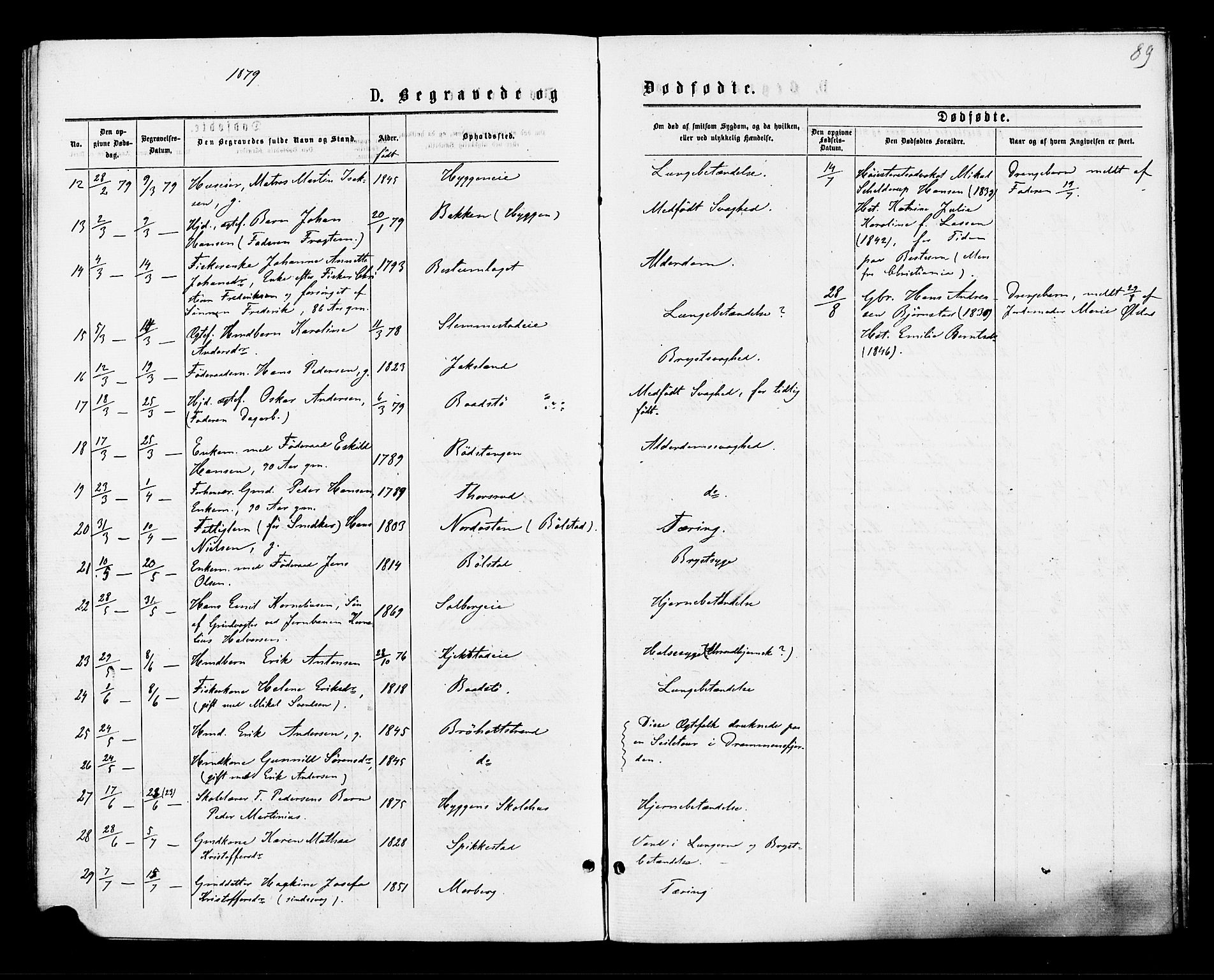 Røyken kirkebøker, SAKO/A-241/F/Fa/L0007: Parish register (official) no. 7, 1876-1879, p. 89