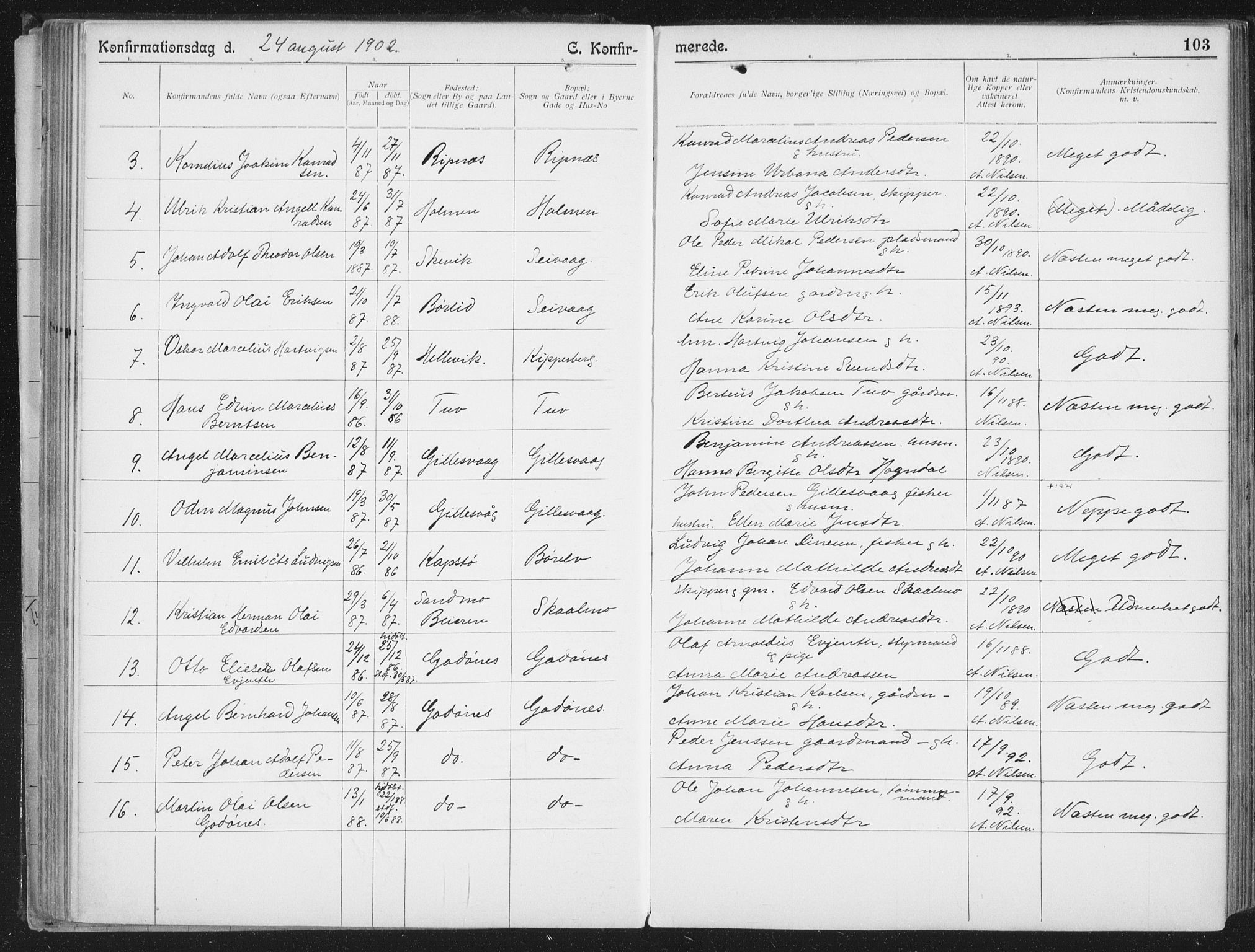 Ministerialprotokoller, klokkerbøker og fødselsregistre - Nordland, AV/SAT-A-1459/804/L0081: Parish register (official) no. 804A02, 1901-1915, p. 103