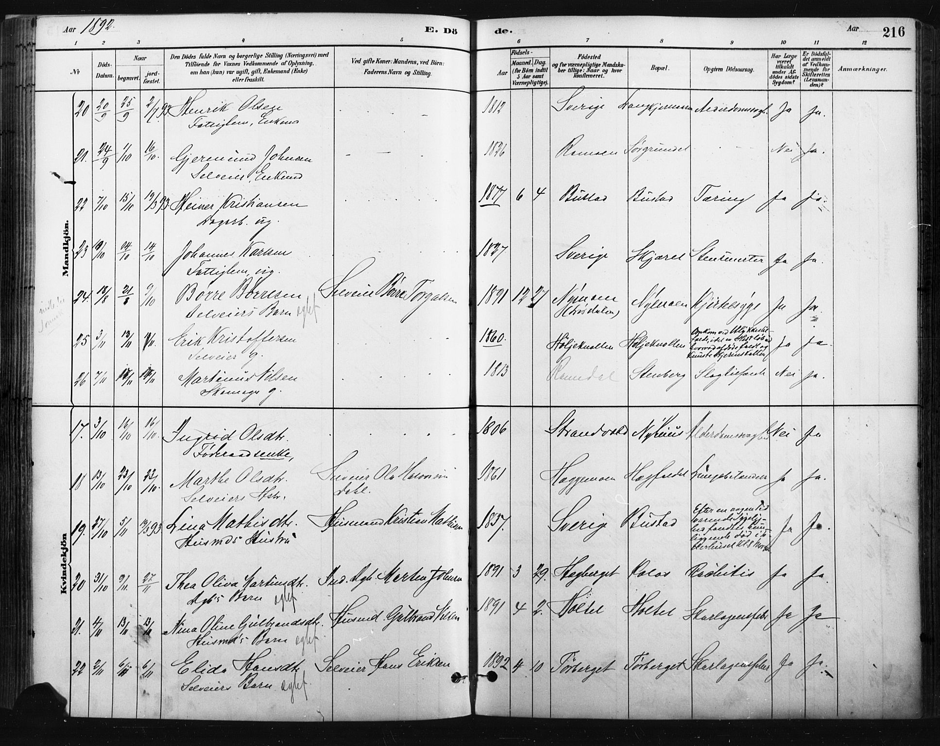Trysil prestekontor, SAH/PREST-046/H/Ha/Haa/L0009: Parish register (official) no. 9, 1881-1897, p. 216