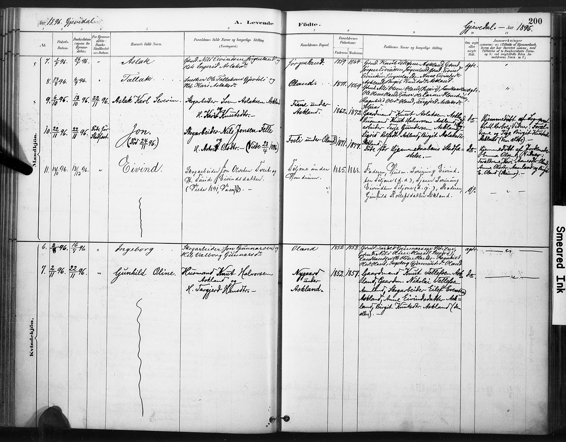 Åmli sokneprestkontor, AV/SAK-1111-0050/F/Fa/Fac/L0010: Parish register (official) no. A 10 /2, 1885-1899, p. 200