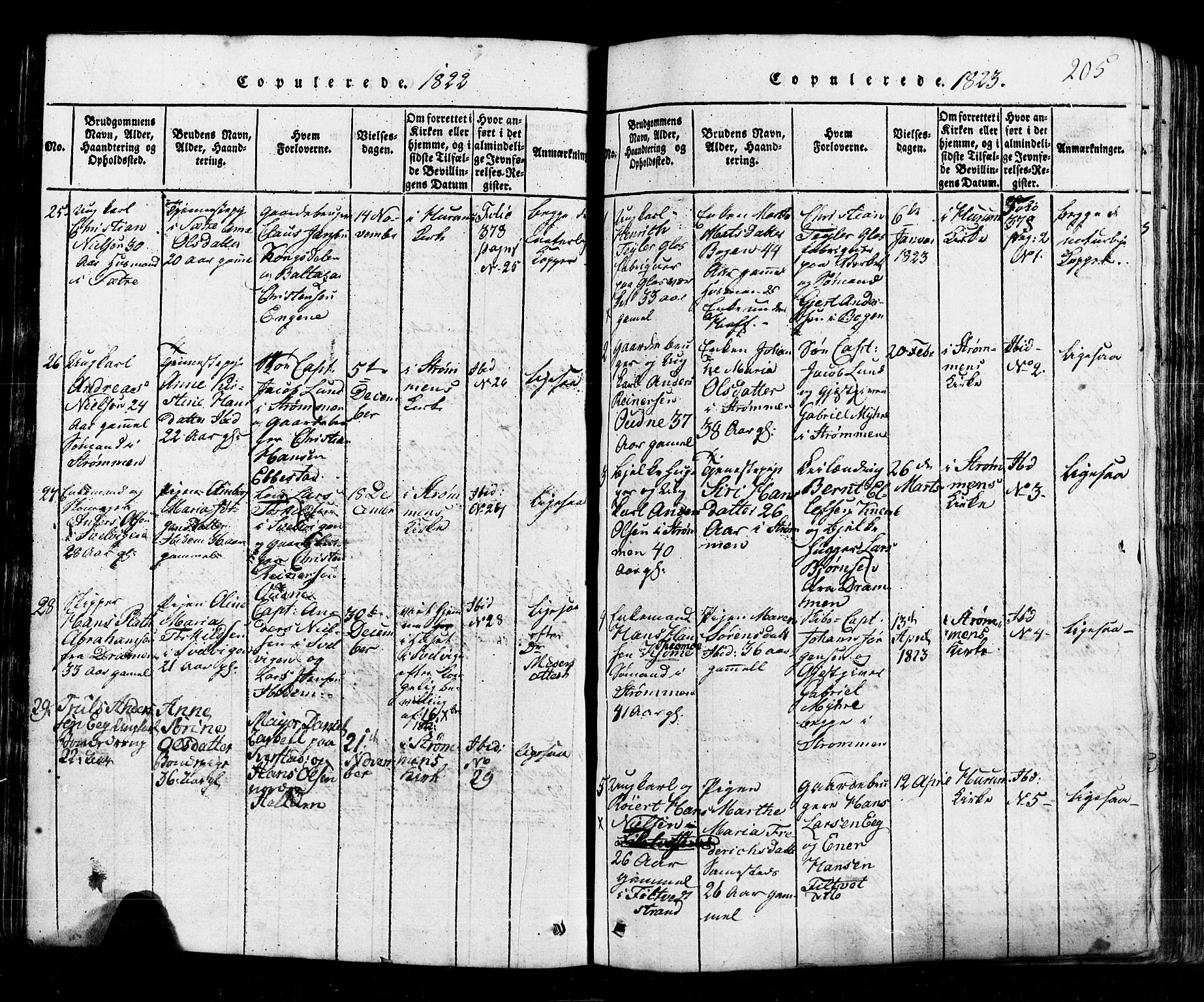 Hurum kirkebøker, SAKO/A-229/G/Ga/L0001: Parish register (copy) no. I 1, 1816-1826, p. 205