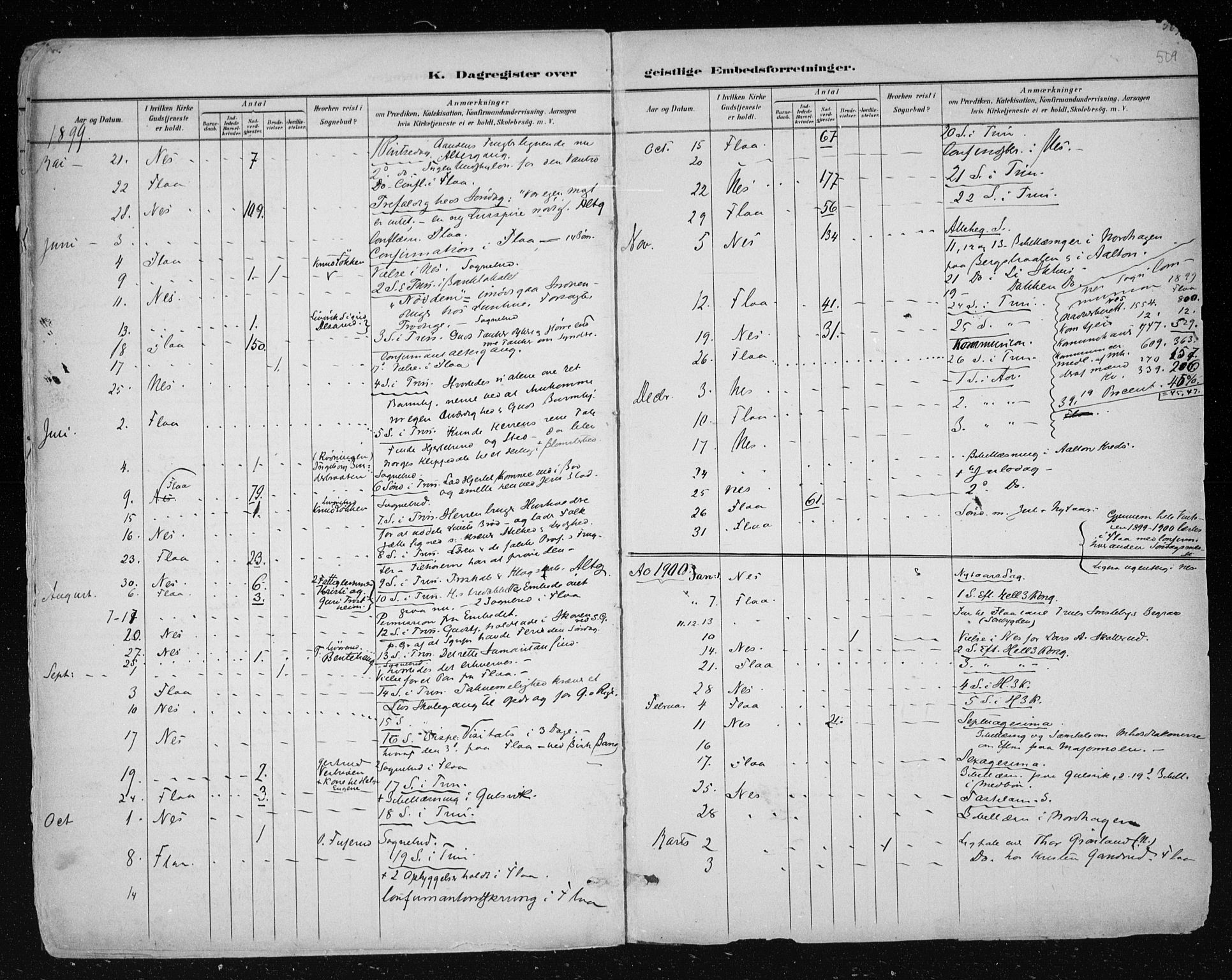 Nes kirkebøker, AV/SAKO-A-236/F/Fa/L0011: Parish register (official) no. 11, 1881-1912, p. 509