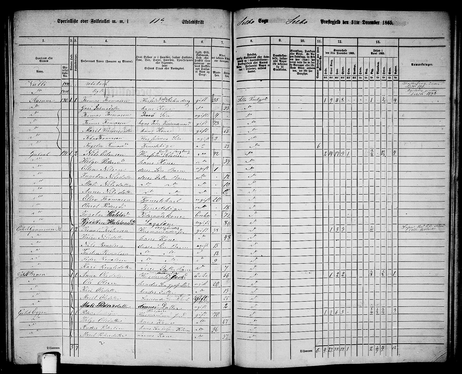 RA, 1865 census for Selbu, 1865, p. 202