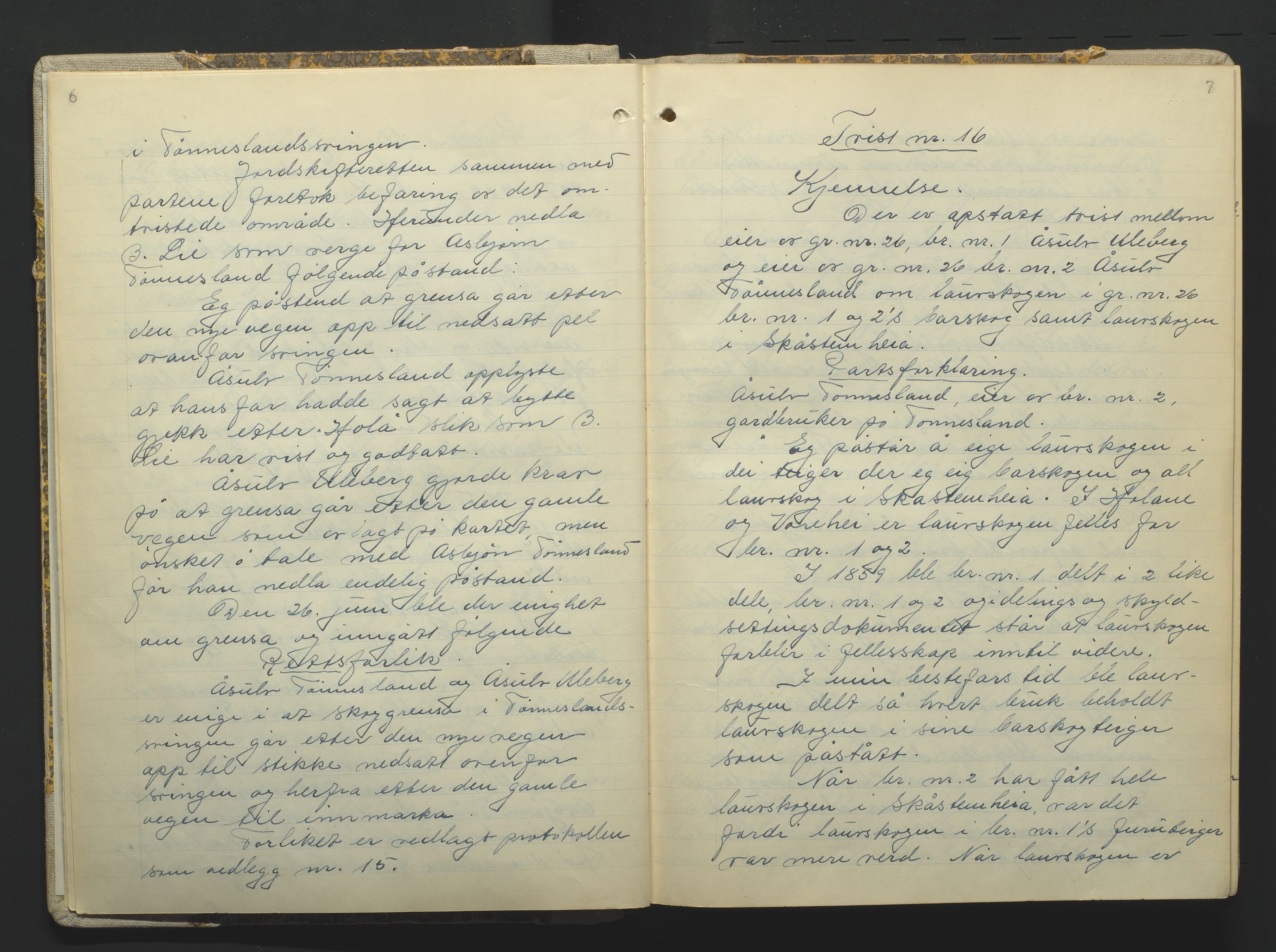 Setesdal jordskifterett, AV/SAK-1541-0008/F/Fa/Faa/L0001: Jordskifteprotokoll med gårdsregister, Setesdal domssokn nr 16, 1952-1958, p. 6-7