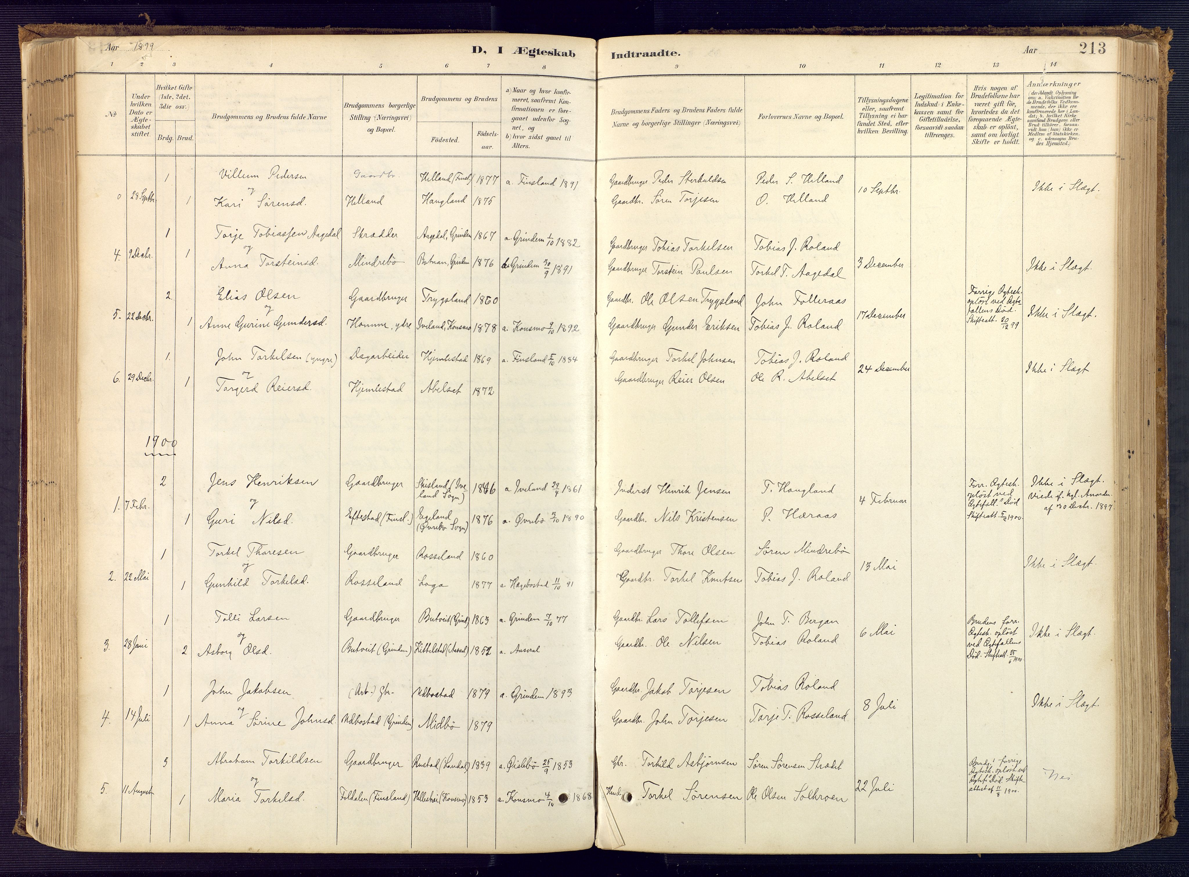 Bjelland sokneprestkontor, SAK/1111-0005/F/Fa/Faa/L0004: Parish register (official) no. A 4, 1887-1923, p. 213