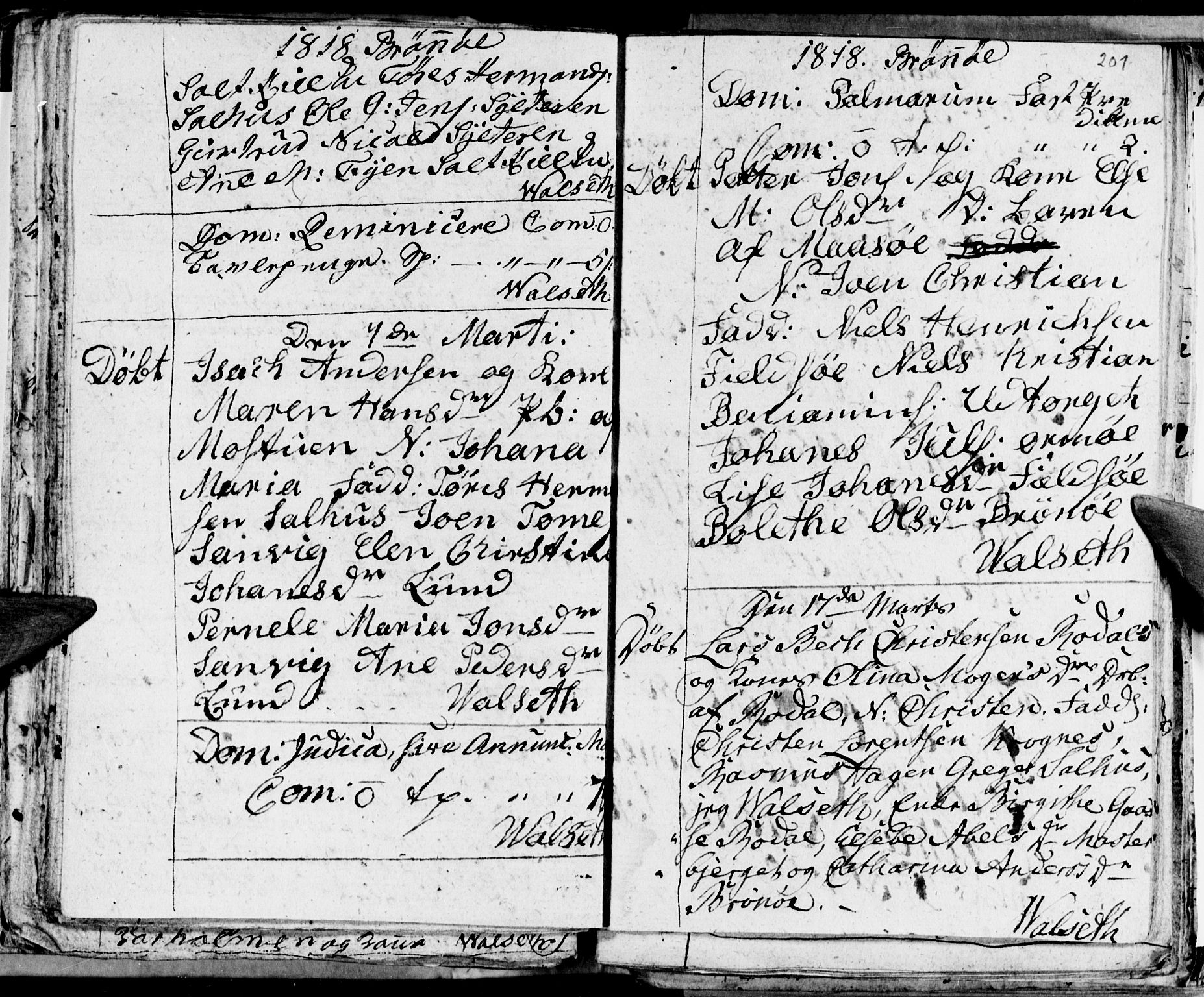 Ministerialprotokoller, klokkerbøker og fødselsregistre - Nordland, AV/SAT-A-1459/813/L0209: Parish register (copy) no. 813C01, 1803-1821, p. 201