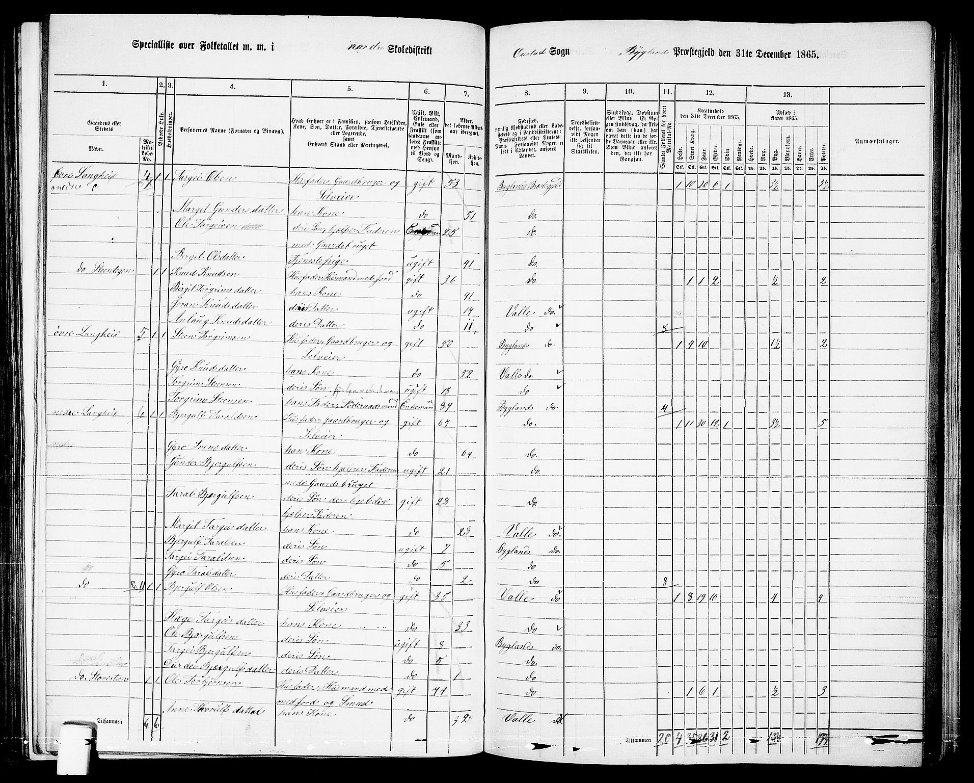 RA, 1865 census for Bygland, 1865, p. 7