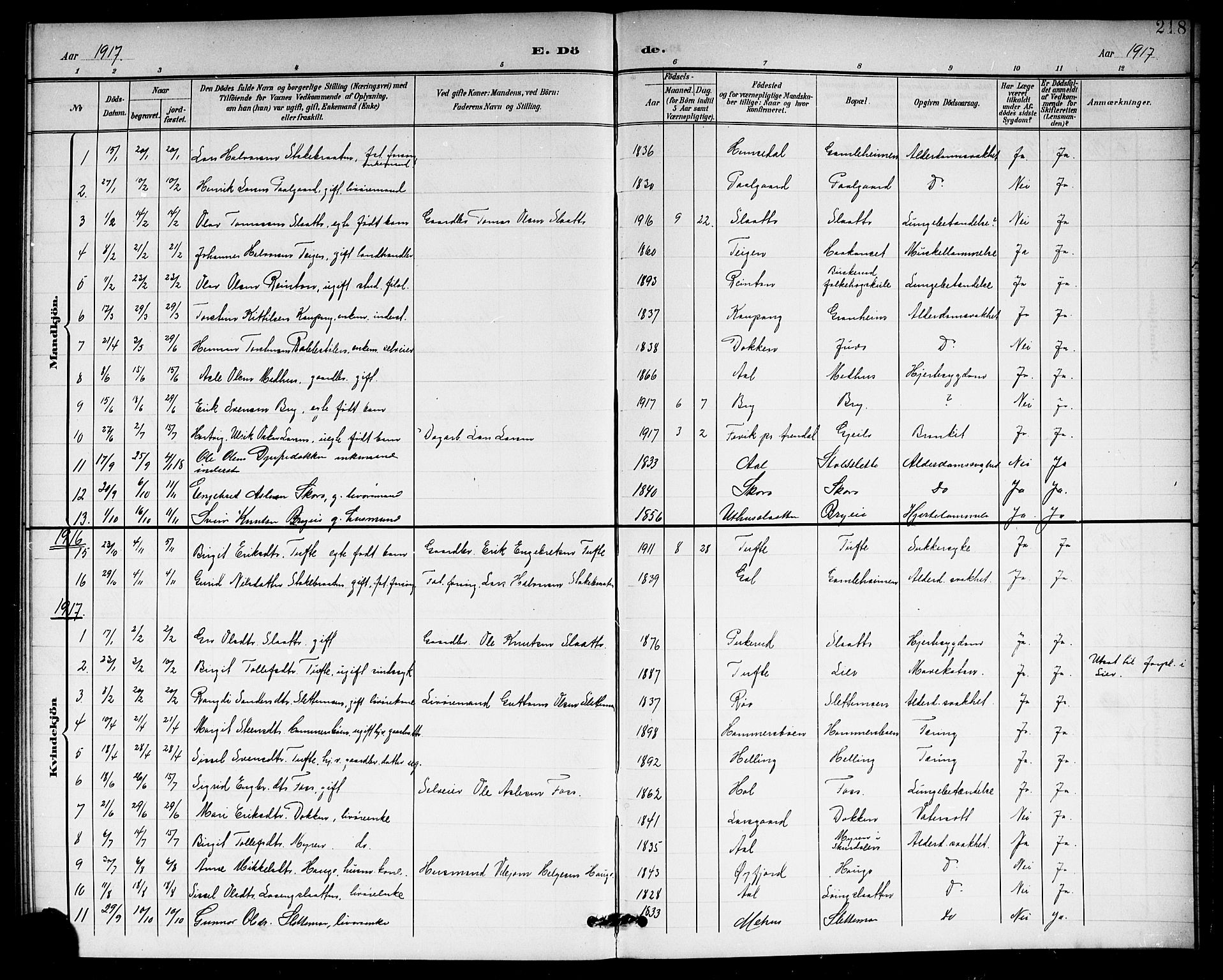 Hol kirkebøker, AV/SAKO-A-227/G/Ga/L0001: Parish register (copy) no. I 1, 1900-1919, p. 218