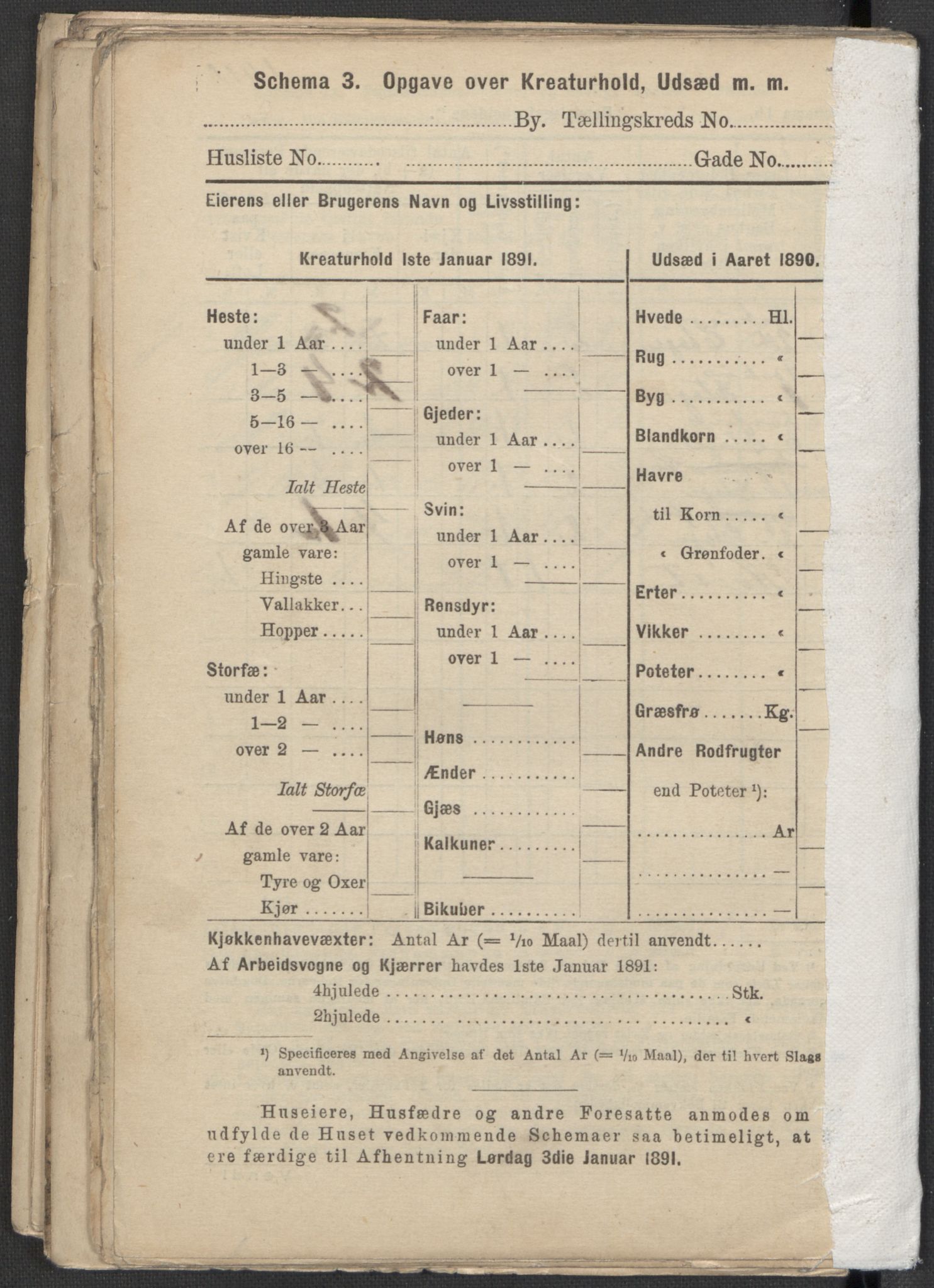 RA, 1891 Census for 1301 Bergen, 1891, p. 855