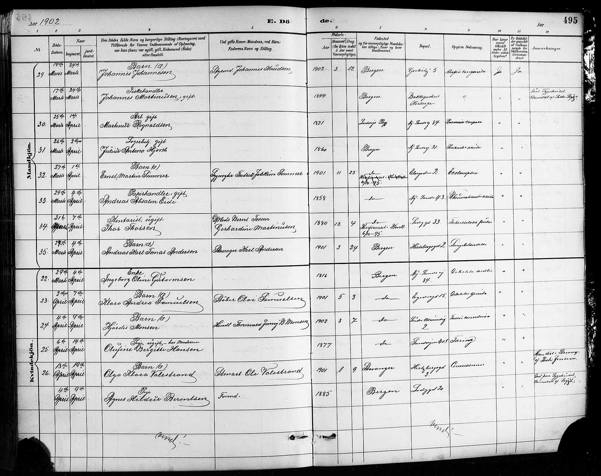 Sandviken Sokneprestembete, SAB/A-77601/H/Hb/L0002: Parish register (copy) no. A 3, 1888-1902, p. 495