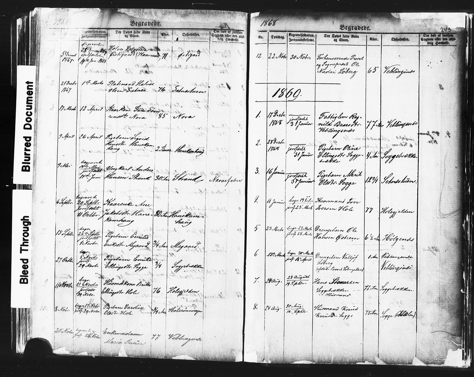 Ministerialprotokoller, klokkerbøker og fødselsregistre - Møre og Romsdal, SAT/A-1454/544/L0580: Parish register (copy) no. 544C02, 1867-1909, p. 243