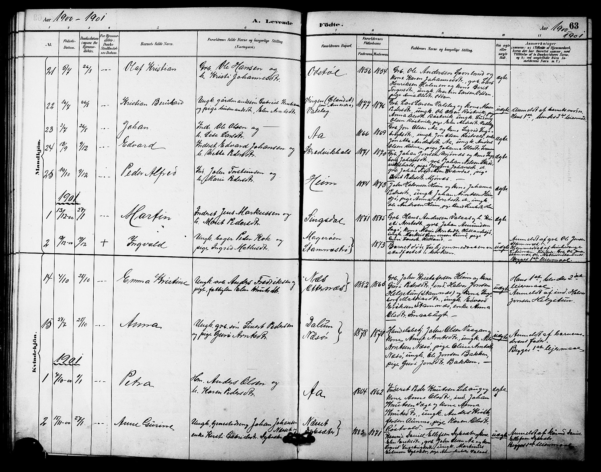 Ministerialprotokoller, klokkerbøker og fødselsregistre - Sør-Trøndelag, SAT/A-1456/633/L0519: Parish register (copy) no. 633C01, 1884-1905, p. 63