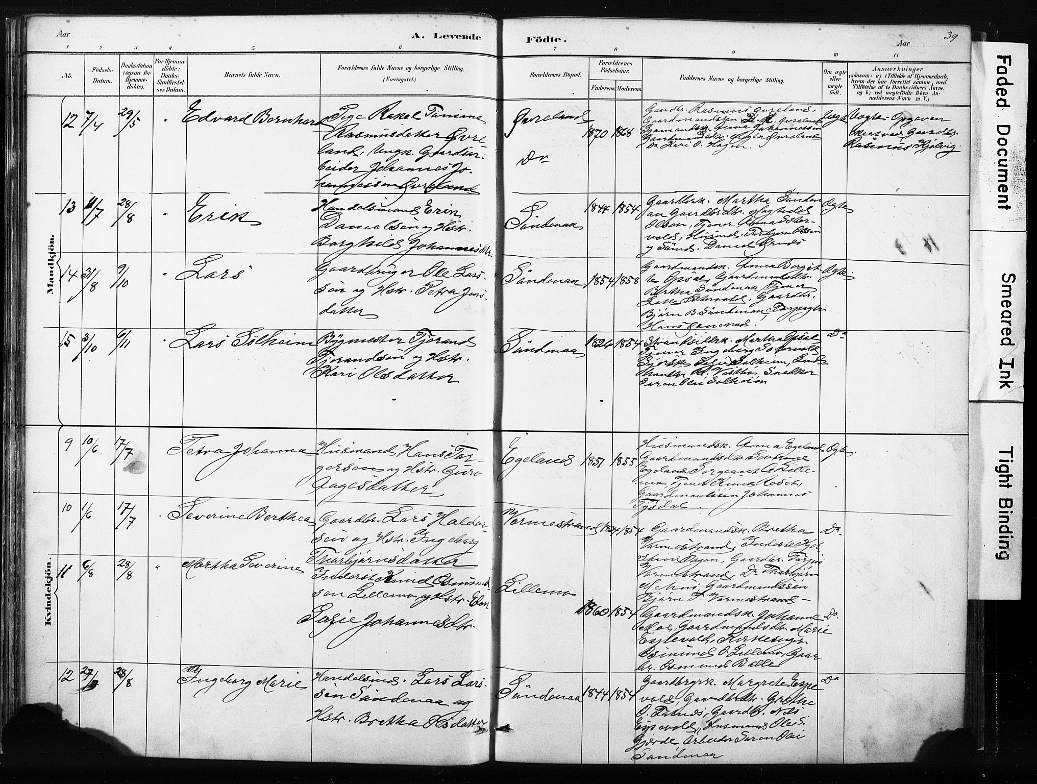 Vikedal sokneprestkontor, AV/SAST-A-101840/01/IV: Parish register (official) no. A 10, 1884-1907, p. 39