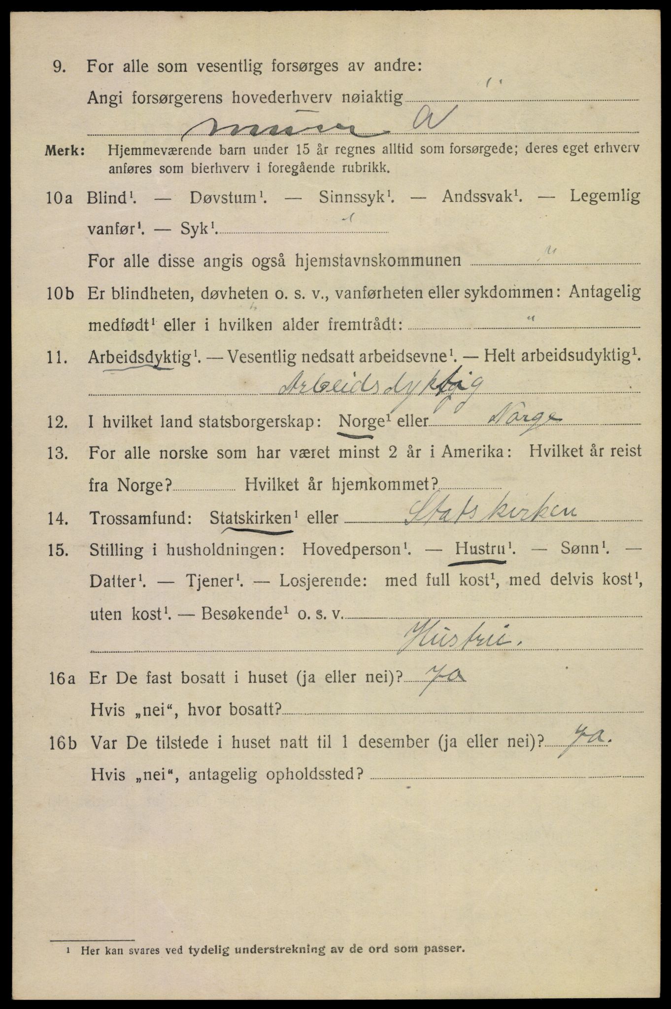 SAKO, 1920 census for Porsgrunn, 1920, p. 9428