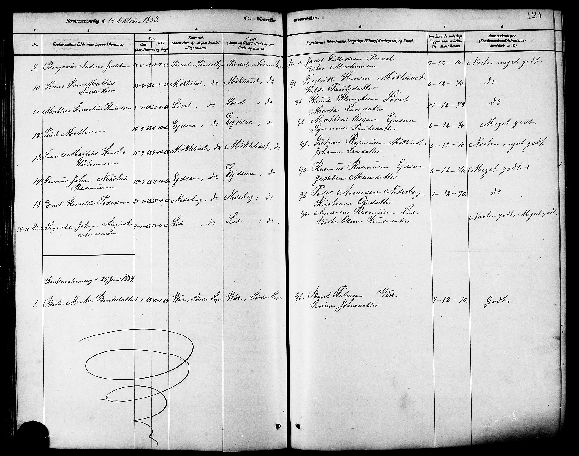 Ministerialprotokoller, klokkerbøker og fødselsregistre - Møre og Romsdal, AV/SAT-A-1454/502/L0027: Parish register (copy) no. 502C01, 1878-1908, p. 124