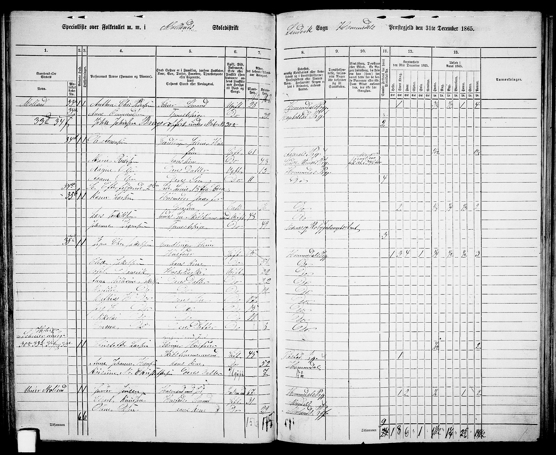 RA, 1865 census for Homedal, 1865, p. 68