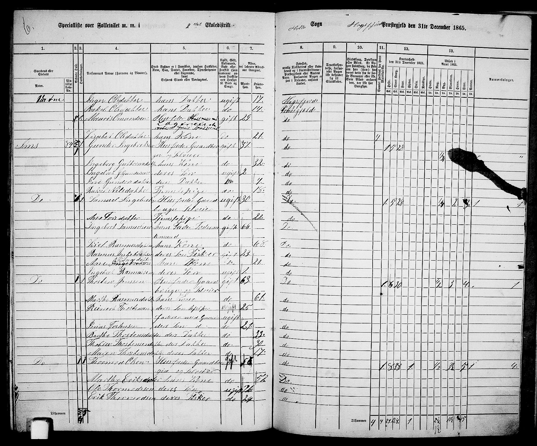 RA, 1865 census for Høgsfjord, 1865, p. 132