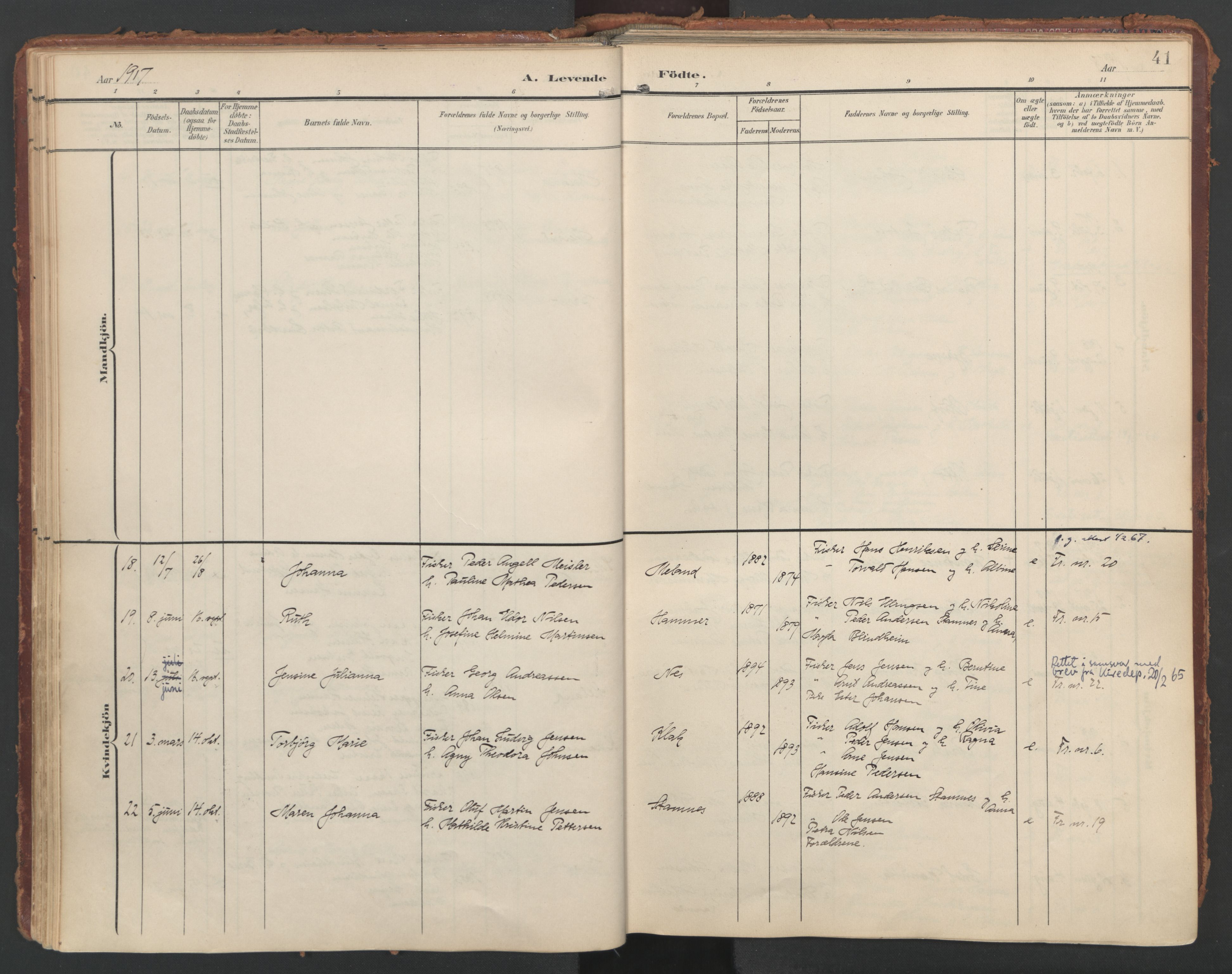 Ministerialprotokoller, klokkerbøker og fødselsregistre - Nordland, AV/SAT-A-1459/808/L0129: Parish register (official) no. 808A02, 1903-1931, p. 41