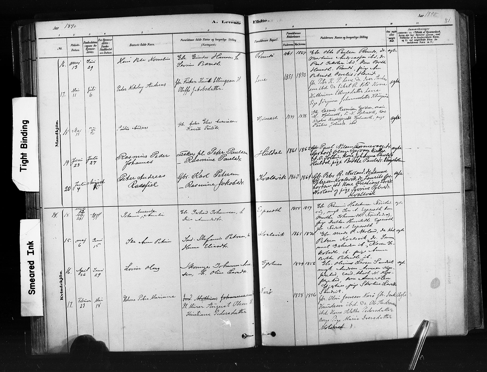 Ministerialprotokoller, klokkerbøker og fødselsregistre - Møre og Romsdal, AV/SAT-A-1454/507/L0073: Parish register (official) no. 507A08, 1878-1904, p. 81