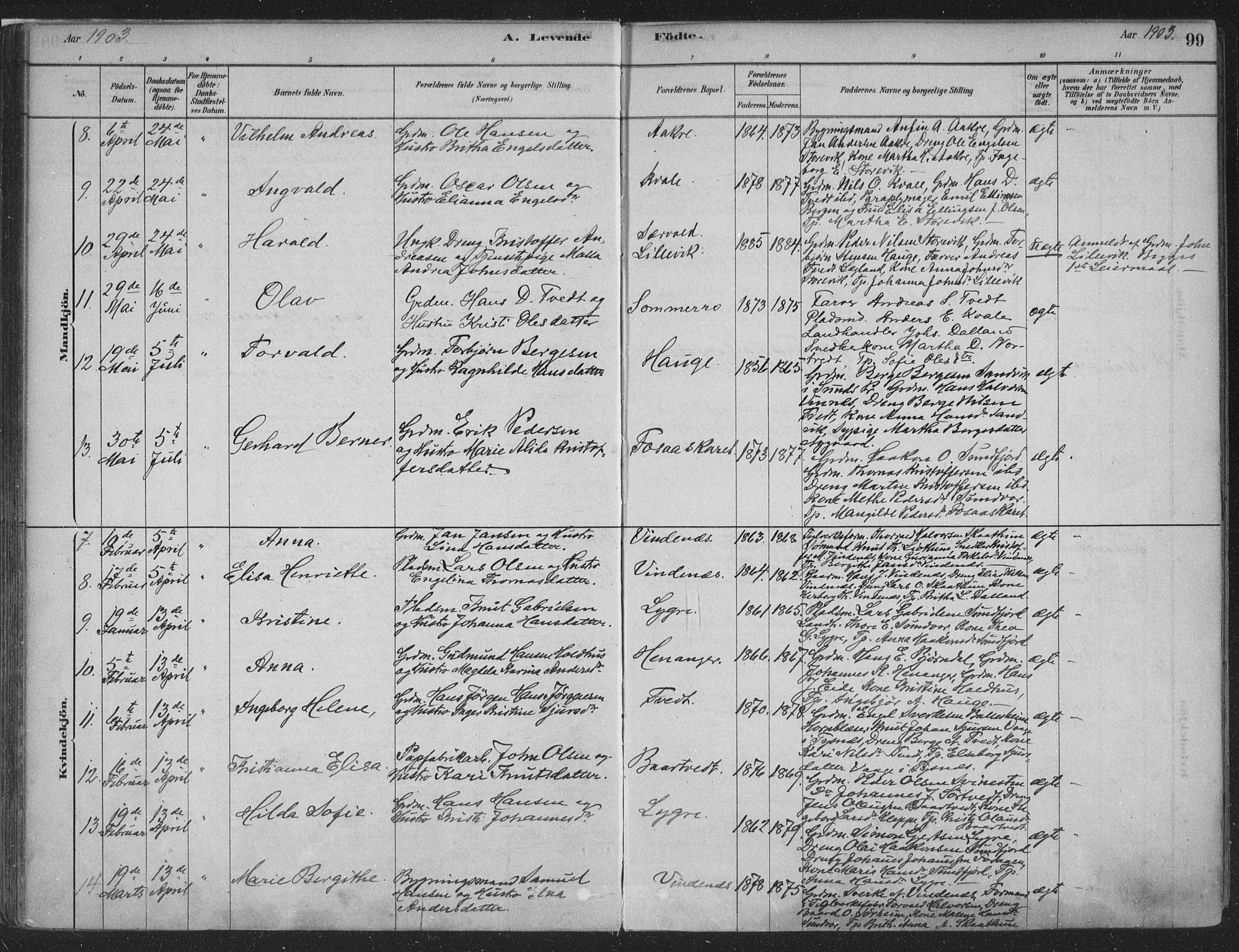 Fusa sokneprestembete, SAB/A-75401/H/Haa: Parish register (official) no. D 1, 1880-1938, p. 99