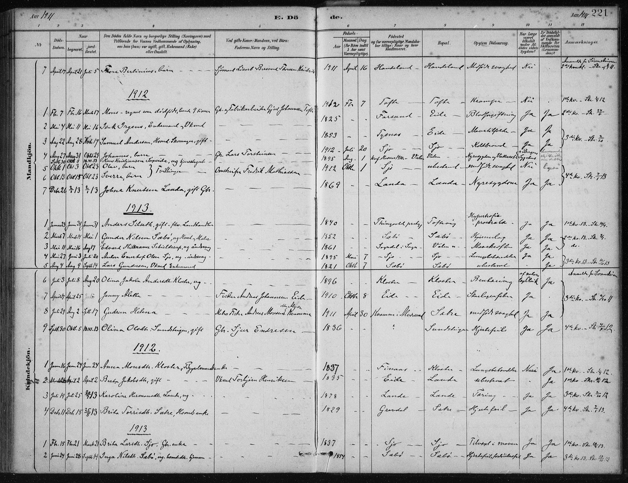 Fjelberg sokneprestembete, SAB/A-75201/H/Haa: Parish register (official) no. C  1, 1879-1918, p. 221